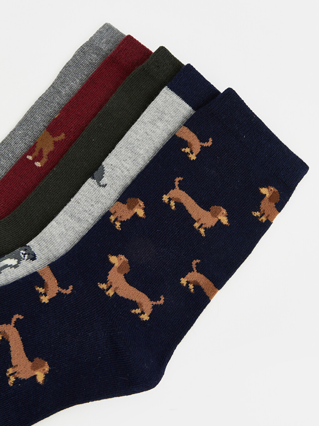 Dog Patterned Boys' Ankle Socks 5 Pack-6