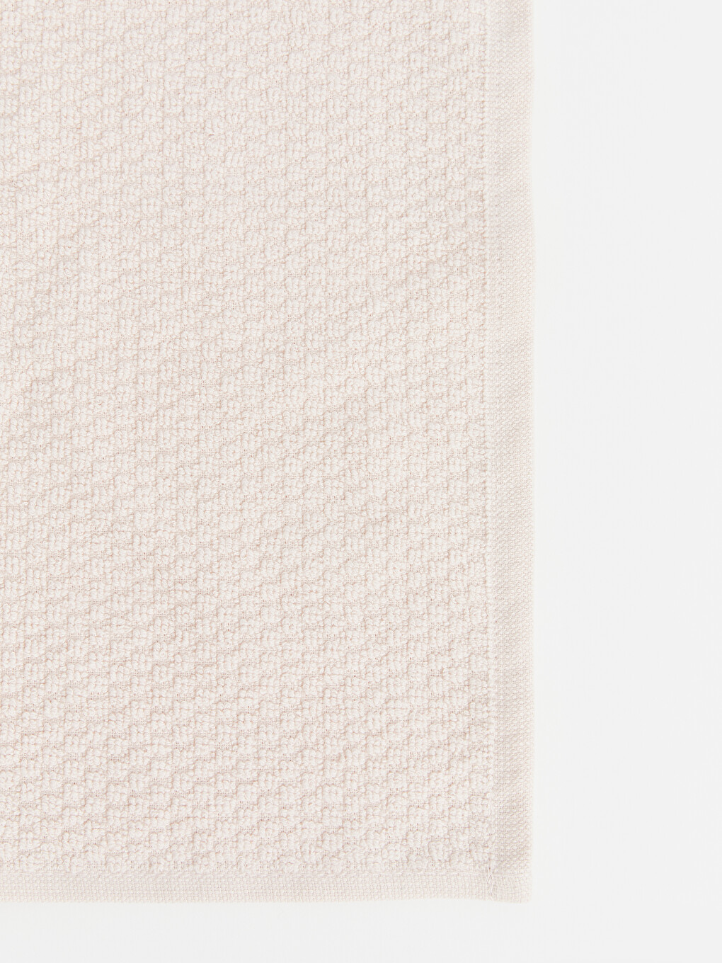 Roze Peshqir Mysafiri-1