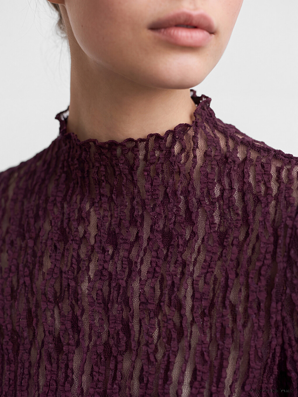 Mock Neck Lace Blouse-2