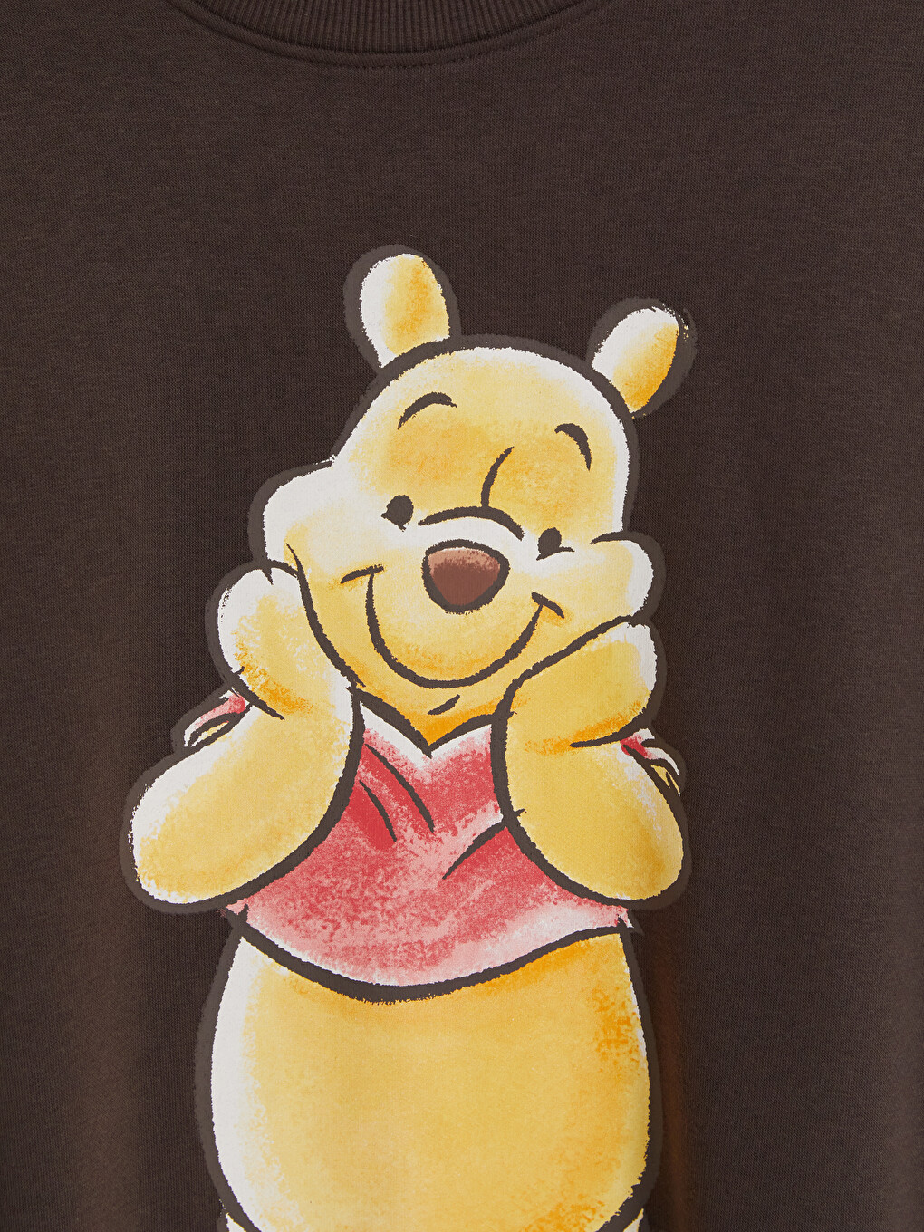 Winnie The Pooh Printed Women's Thick Sweatshirt-5