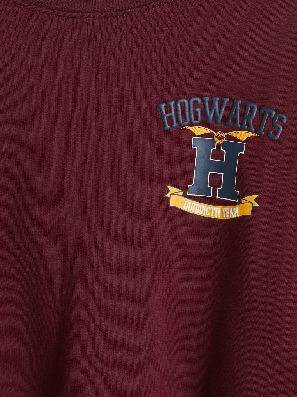 سویتشێرتی خانمان چاپکراوی Harry Potter ئۆڤەرسایز-2