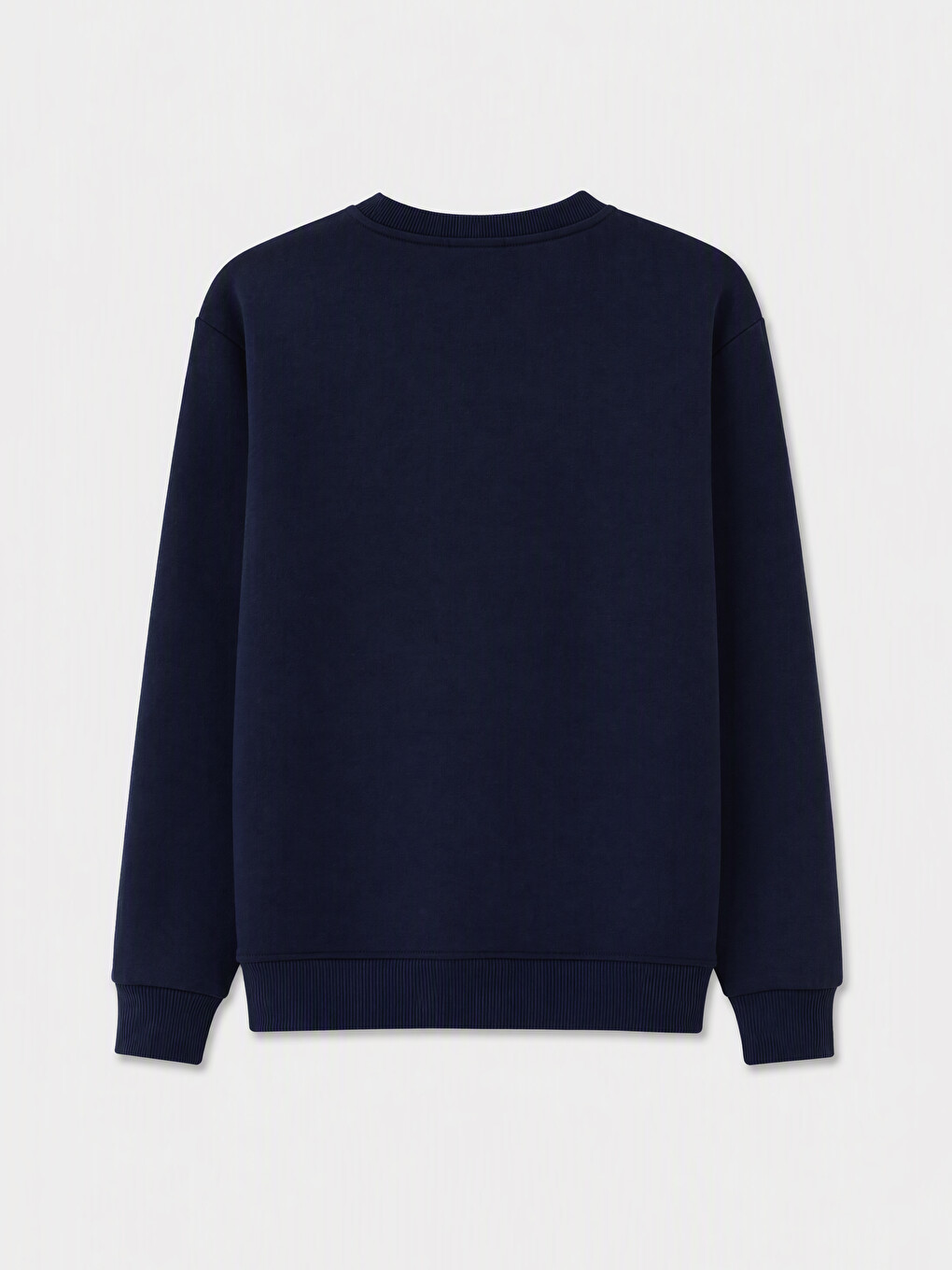Crew Neck Printed Men's Thick Sweatshirt-1