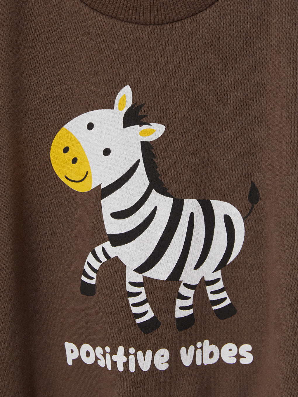 Kahverengi Zebra Baskılı Erkek Çocuk Takım-3