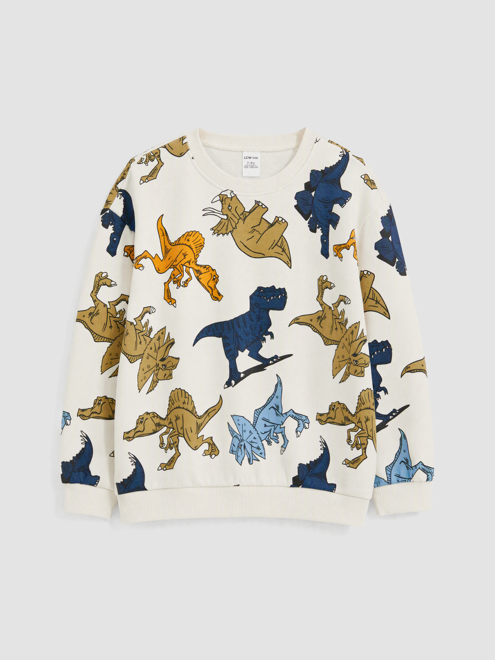 Dinosaur Printed Boys' Thick Set-1