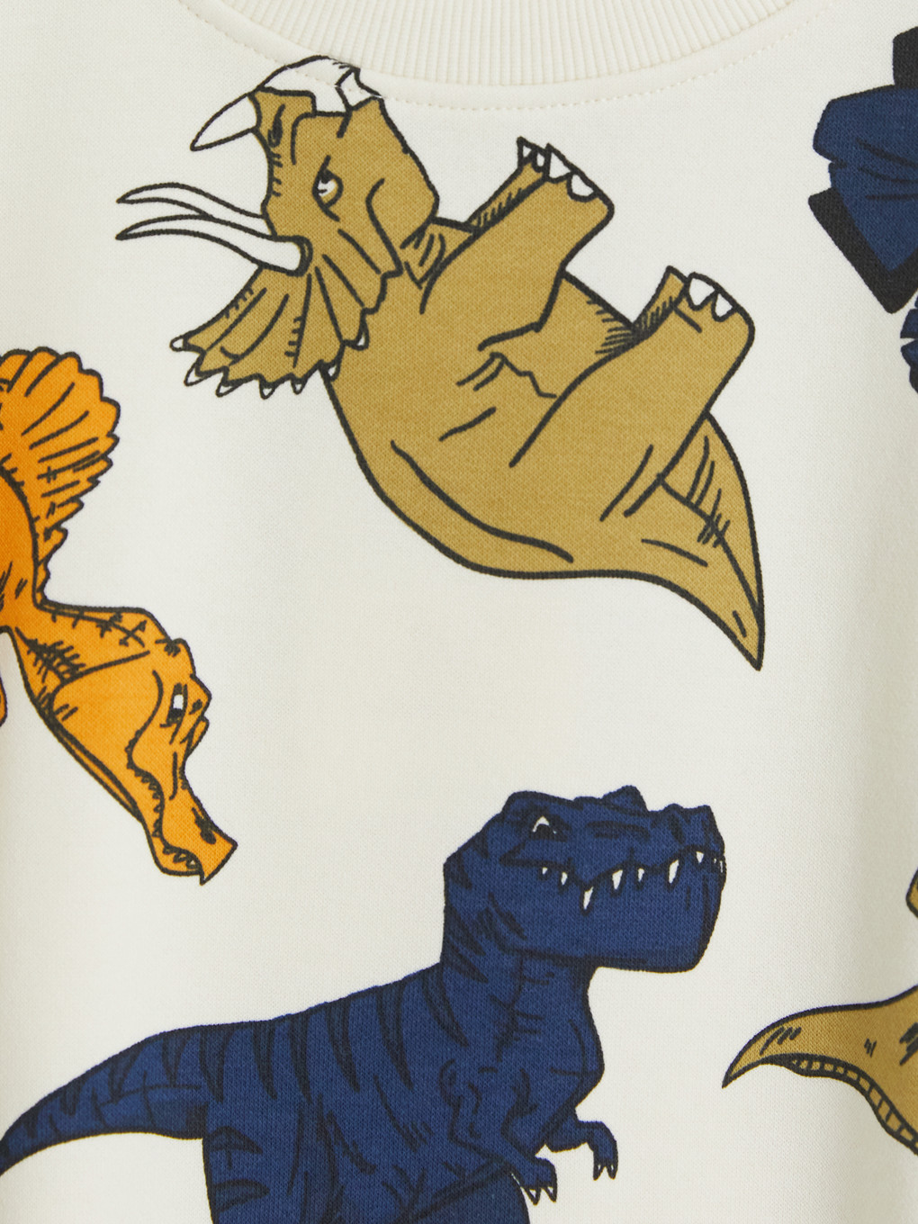 Dinosaur Printed Boys' Thick Set-2