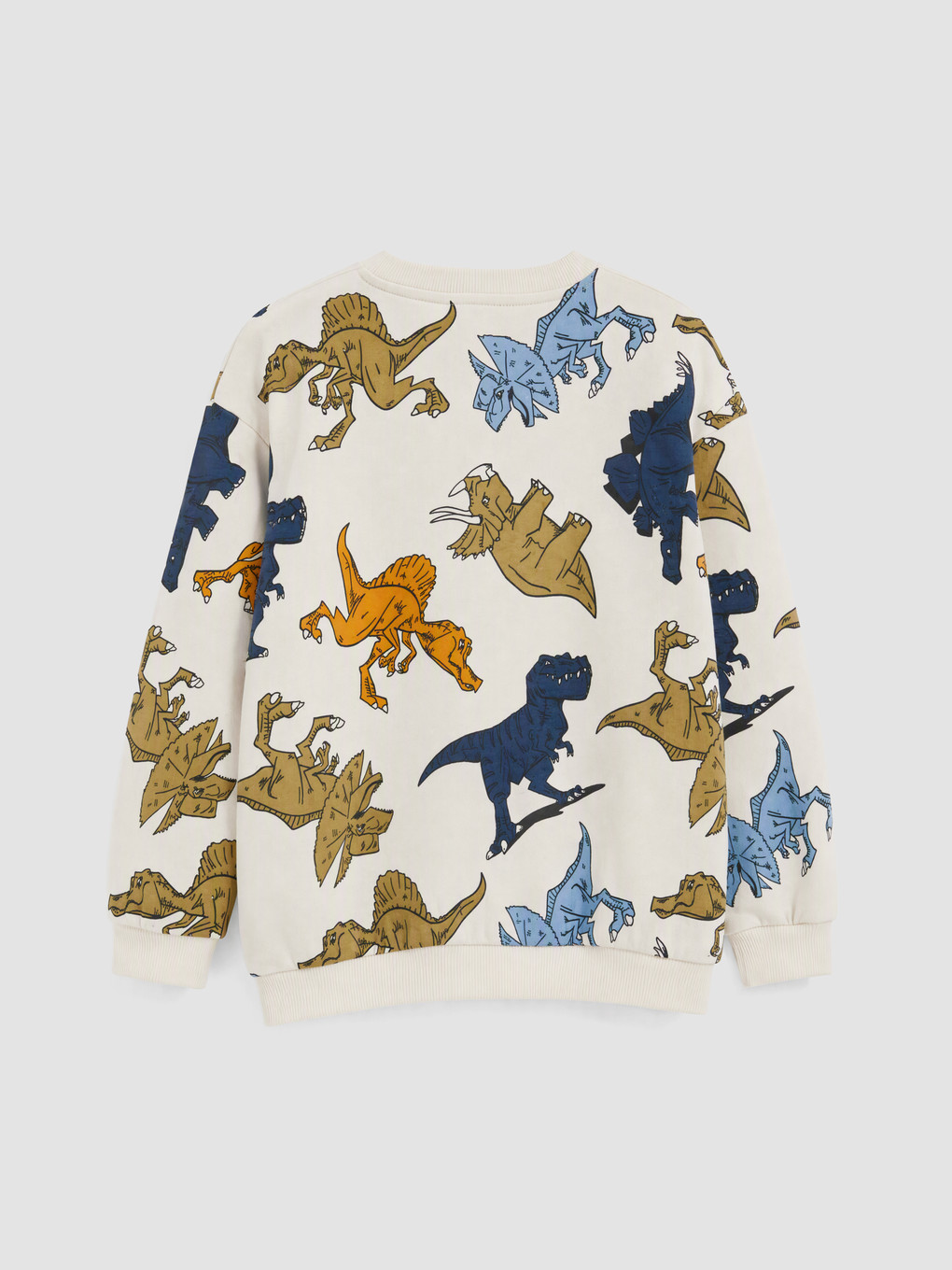 Dinosaur Printed Boys' Thick Set-4