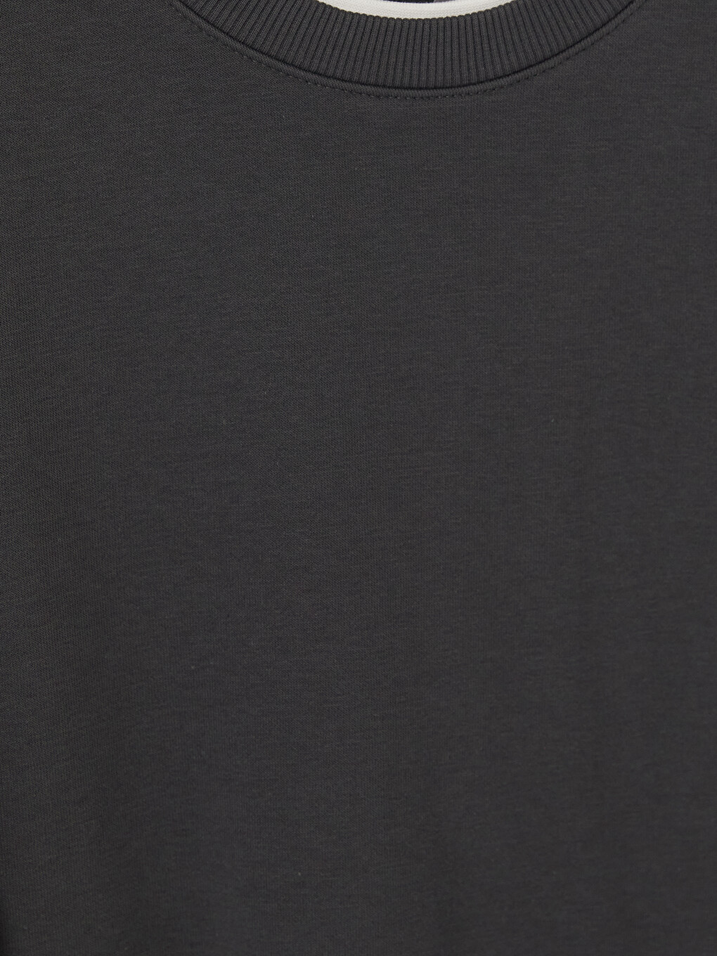 Antrasit Bisiklet Yaka Erkek Kalın Sweatshirt-2