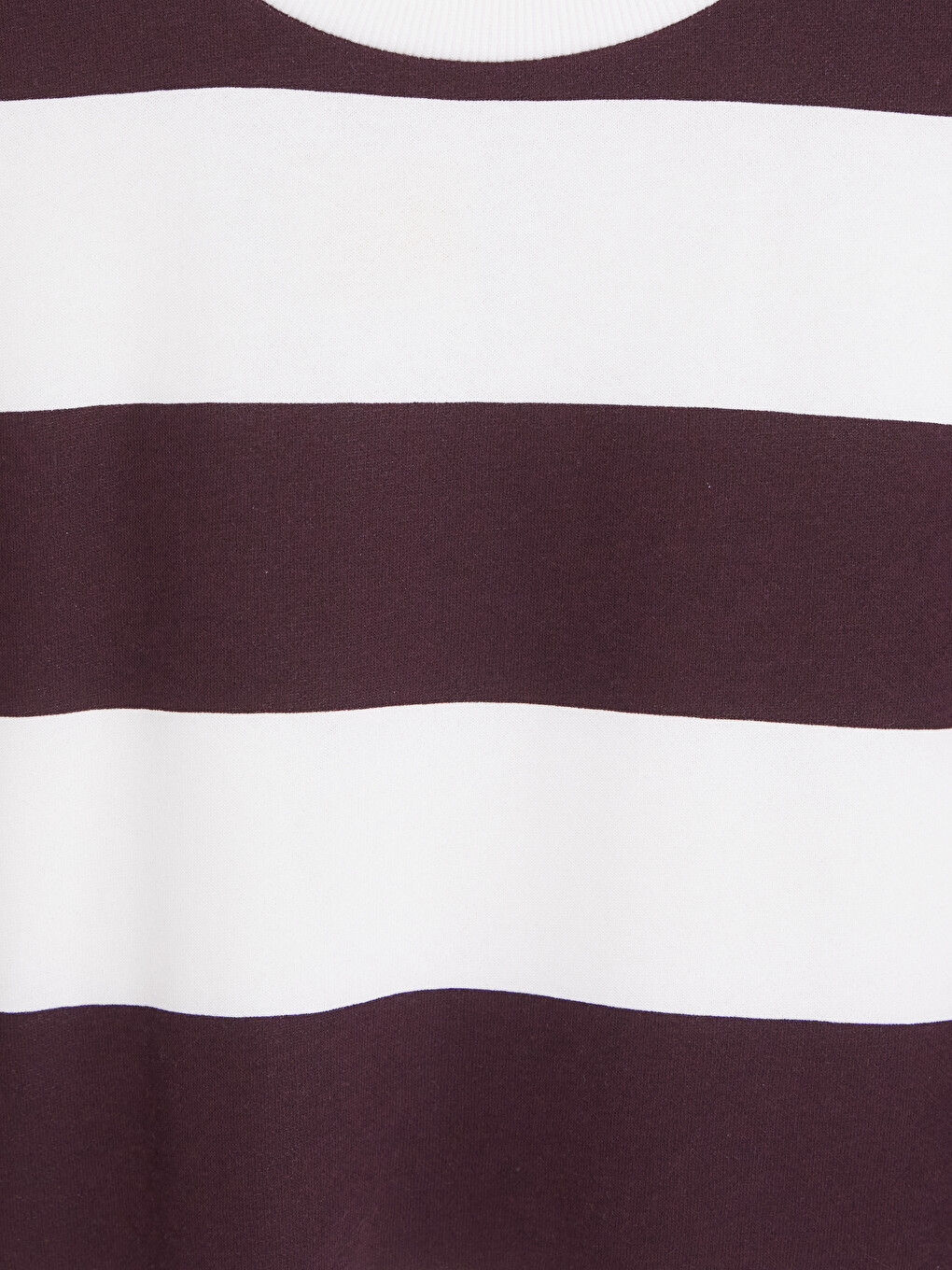 Man Plum Sweatshirt-2
