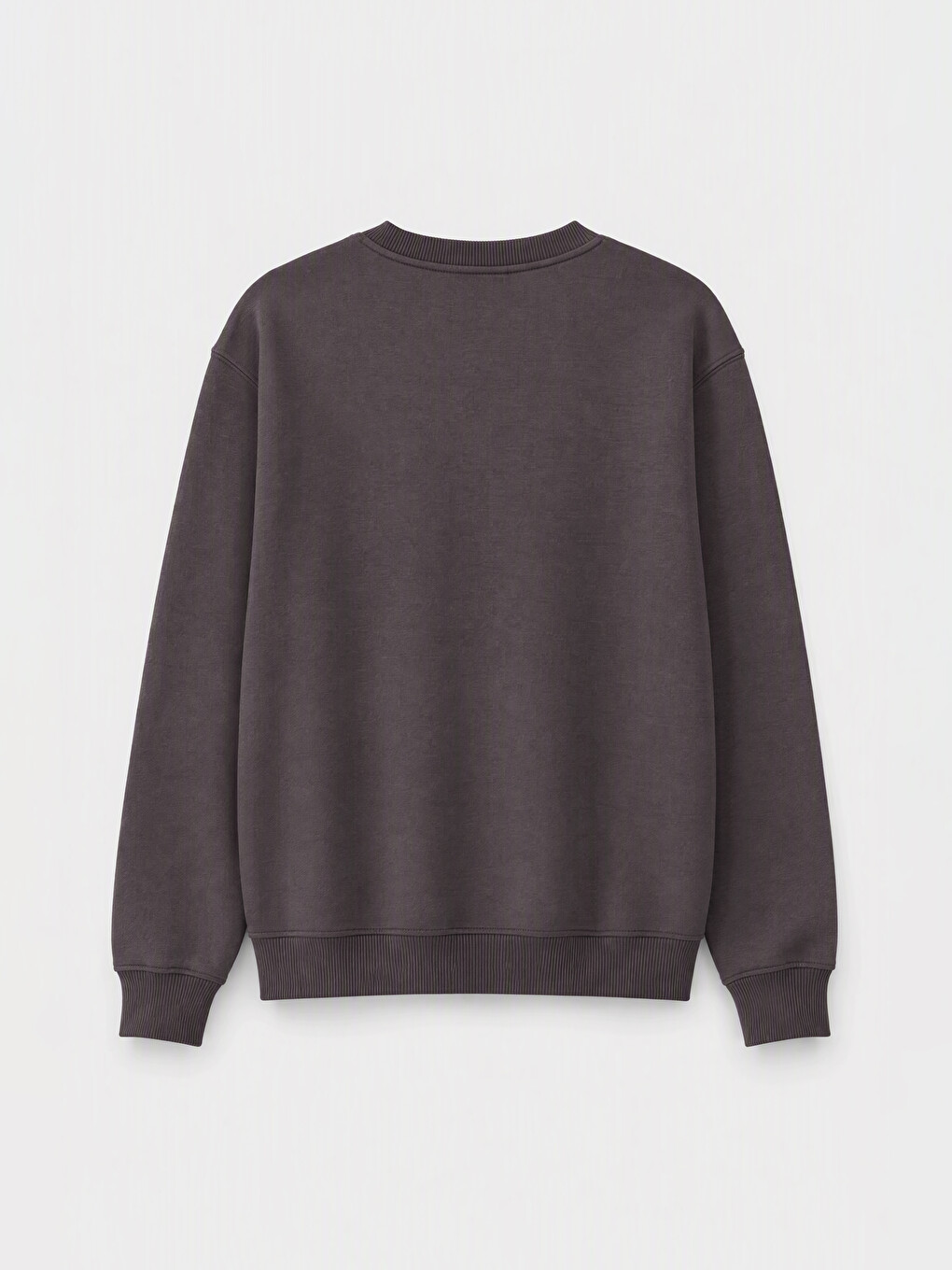 Crew Neck Printed Thick Sweatshirt-1