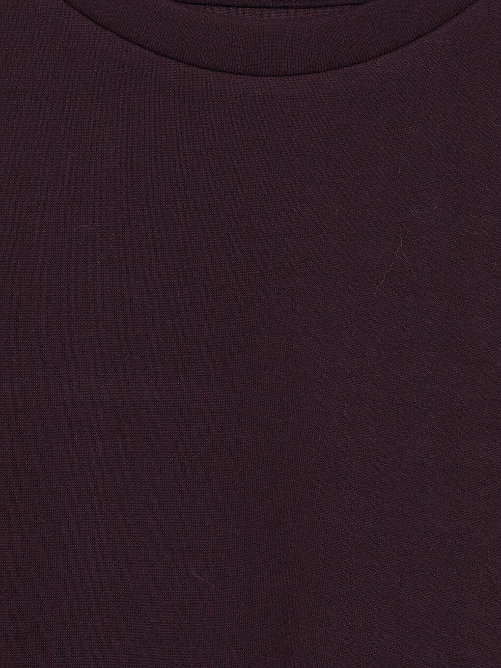 Woman Plum Sweatshirt-1