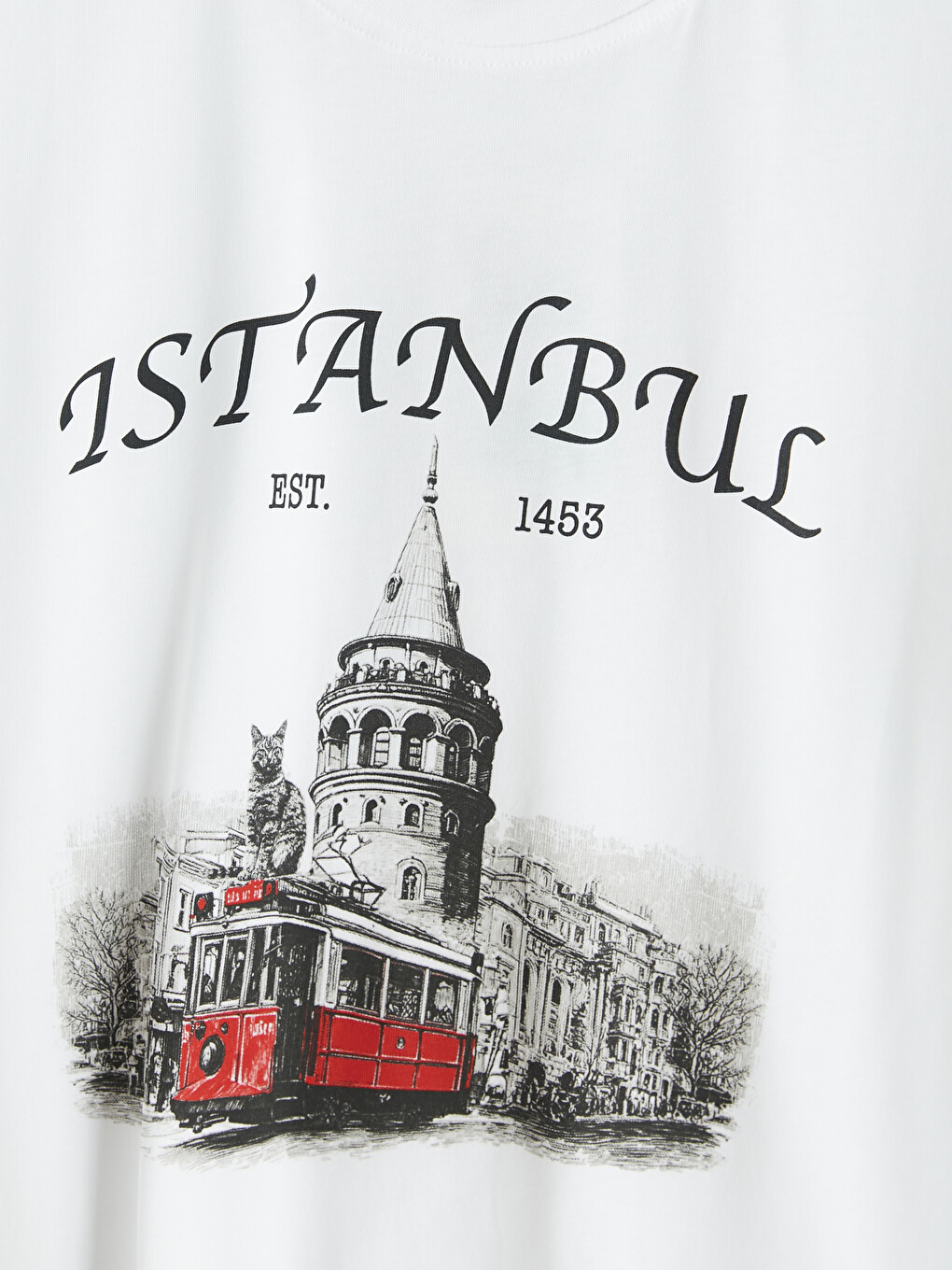 Beyaz İstanbul Baskılı %100 Pamuklu Kadın Tişört-1