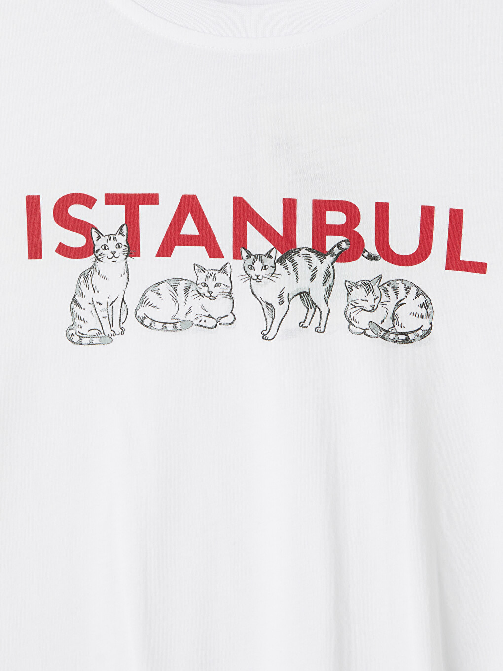 Beyaz İstanbul Baskılı %100 Pamuklu Kadın Tişört-5