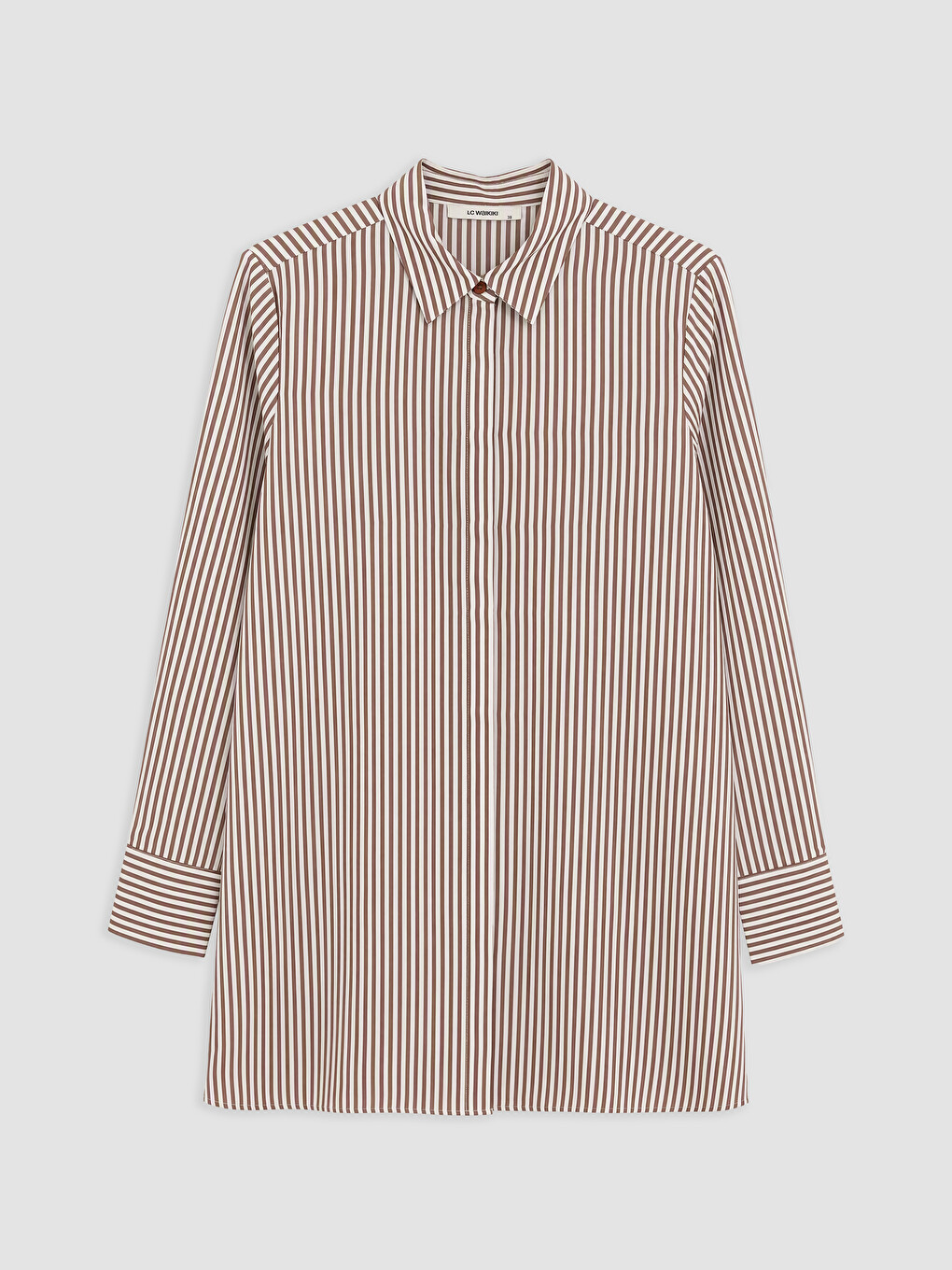 Woman Brown Shirt Tunic
