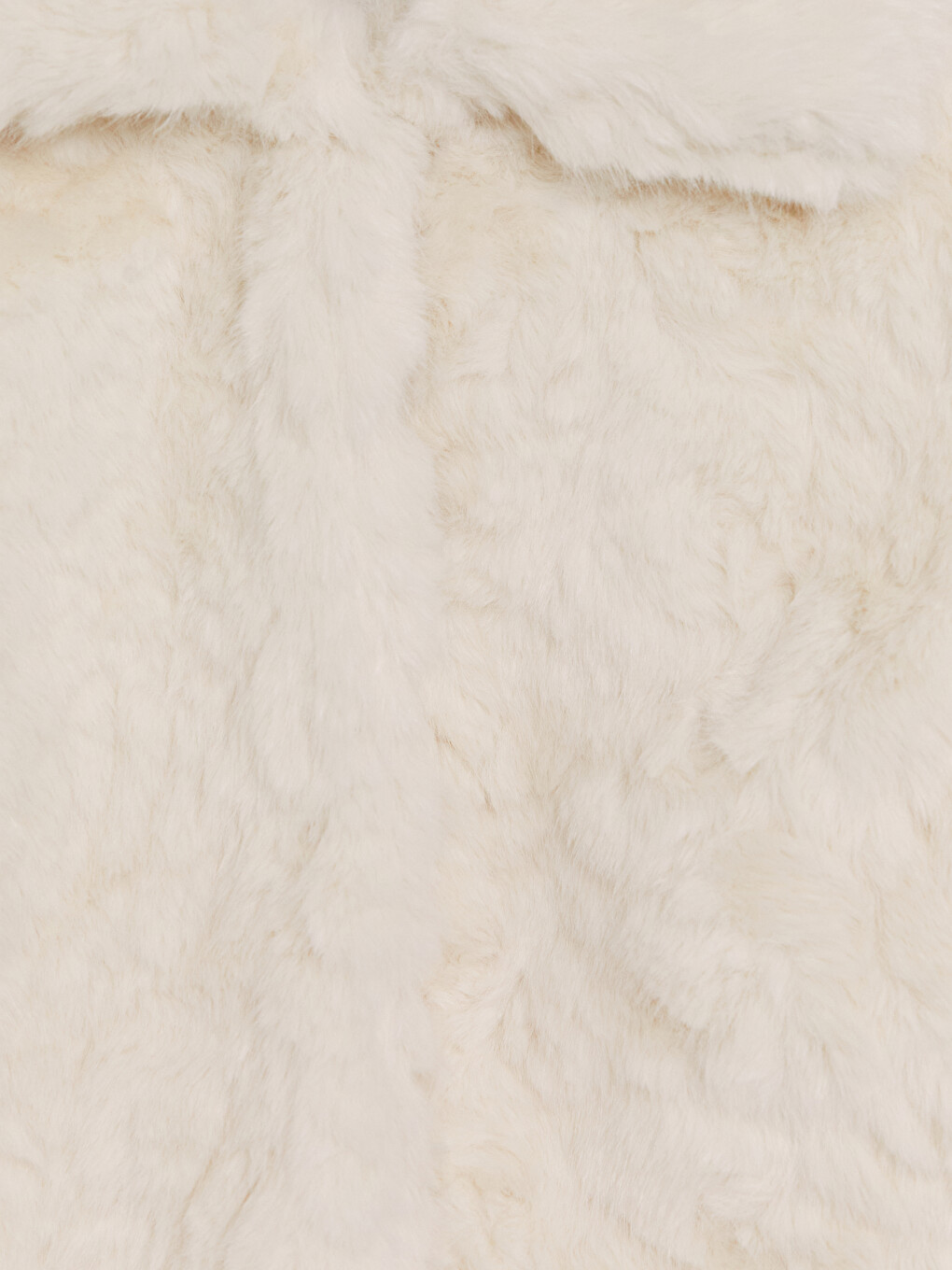 Shirt Collar Women's Plush Coat-6