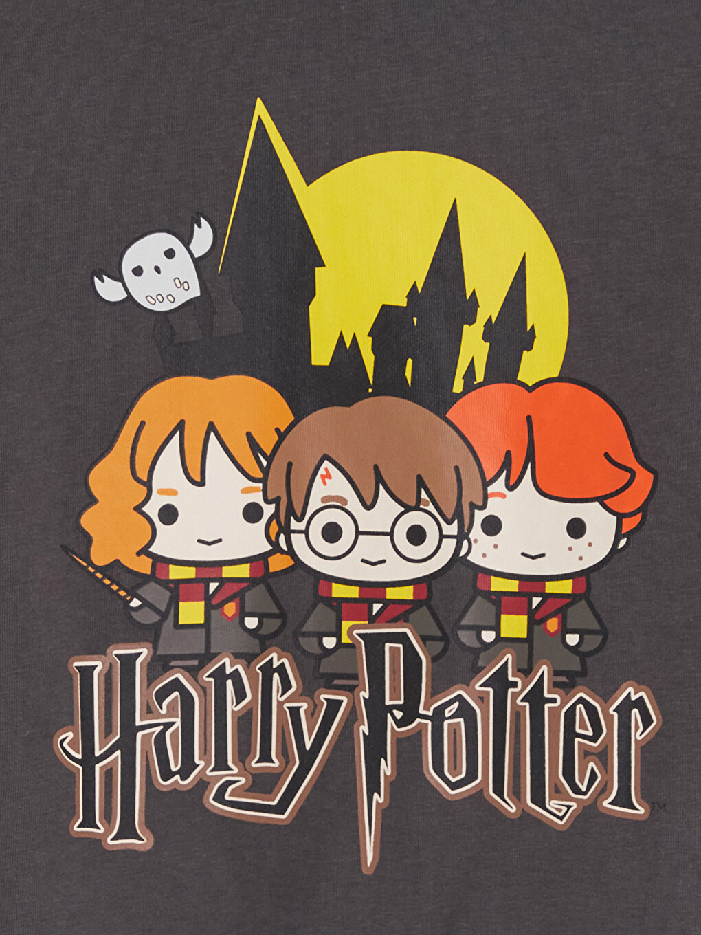 Момчешка Тениска Harry Potter-2