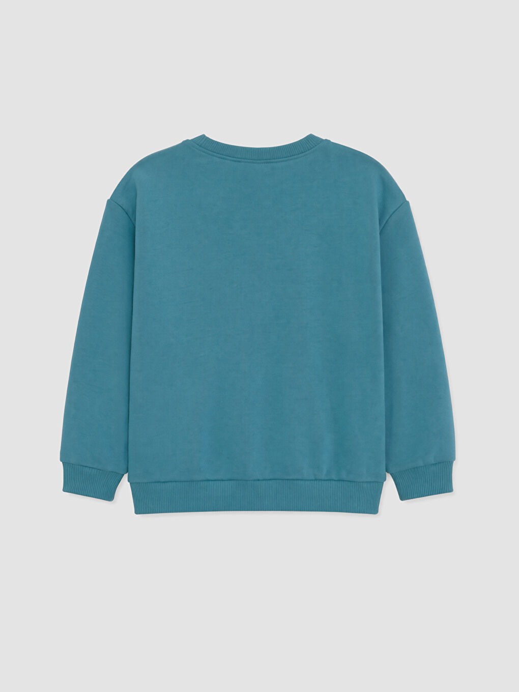 Turkuaz Paw Patrol Baskılı Sweatshirt-2