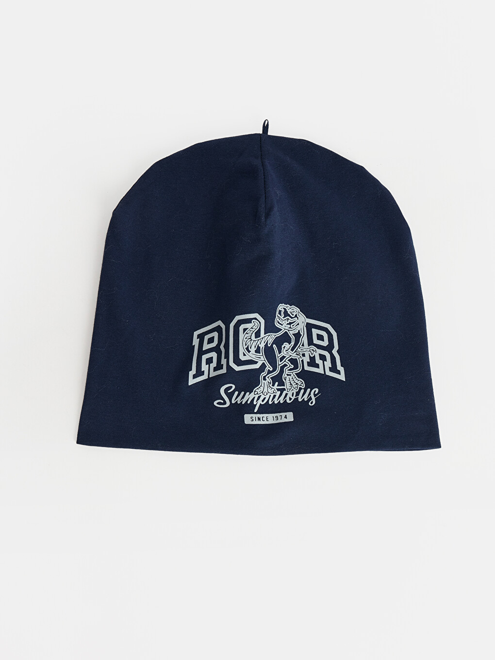 Printed Boys' Beanie 2 Pack-3