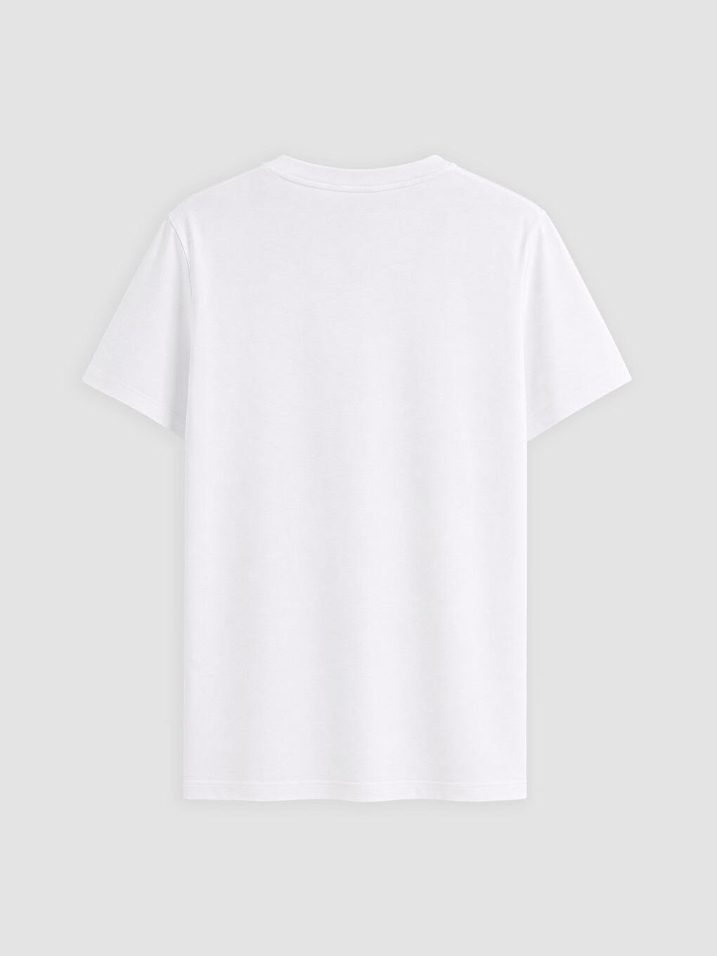 Printed 100% Cotton Women's T-shirt-5