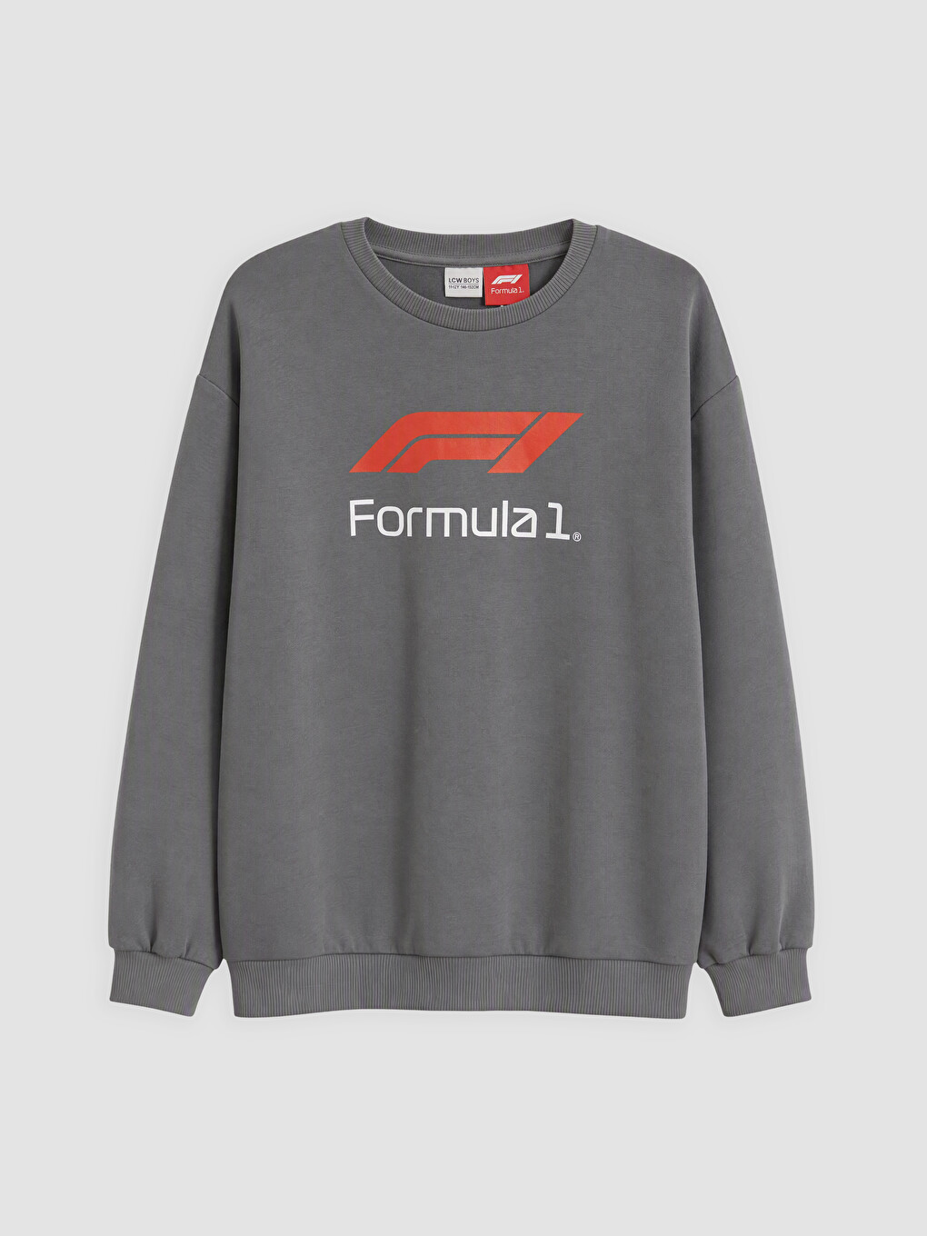 Djalë Gri Sweatshirt