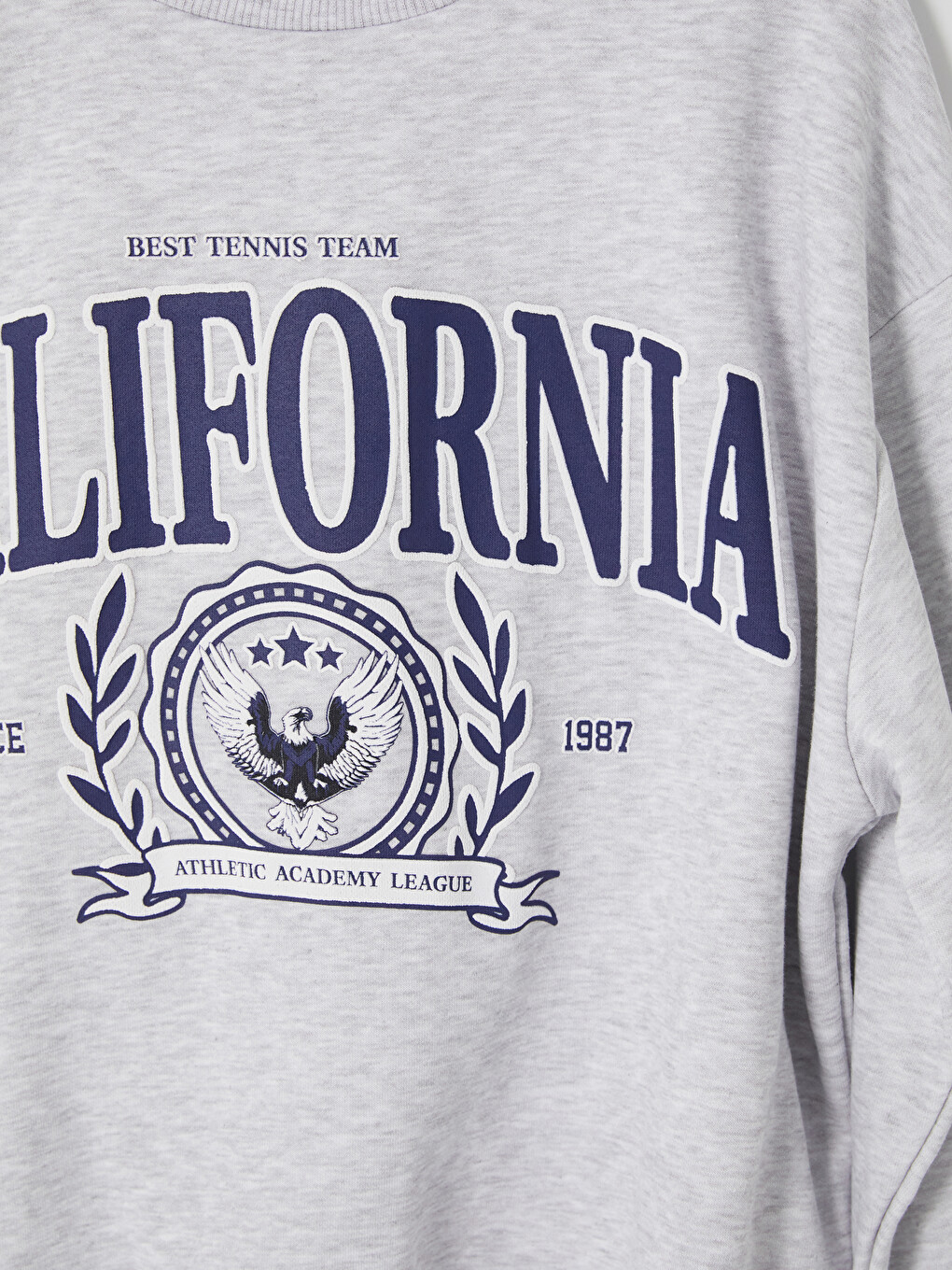 Femër Gri Sweatshirt-2