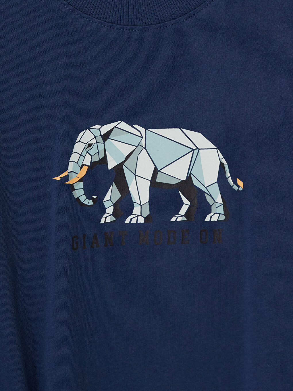 Printed Boys' T-shirt-1