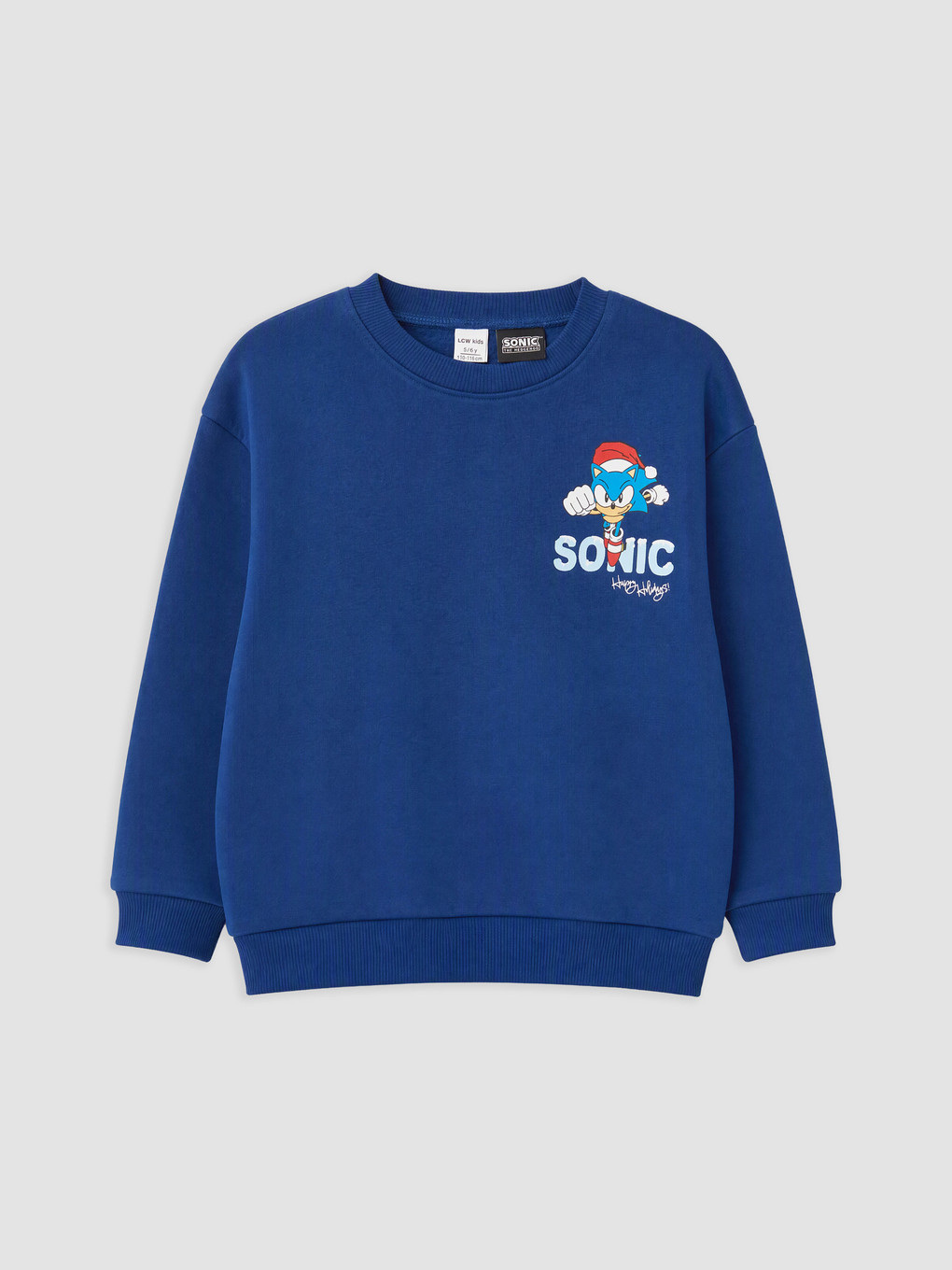 Sonic Printed Boys' Thick Tracksuit Set-1