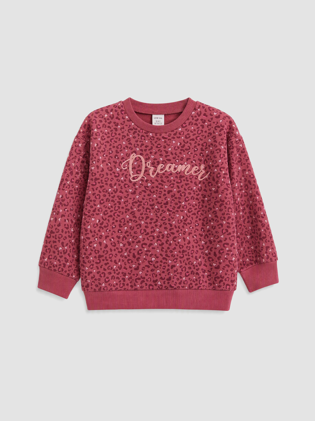 2 Pack Patterned Girls' Thick Sweatshirt-1