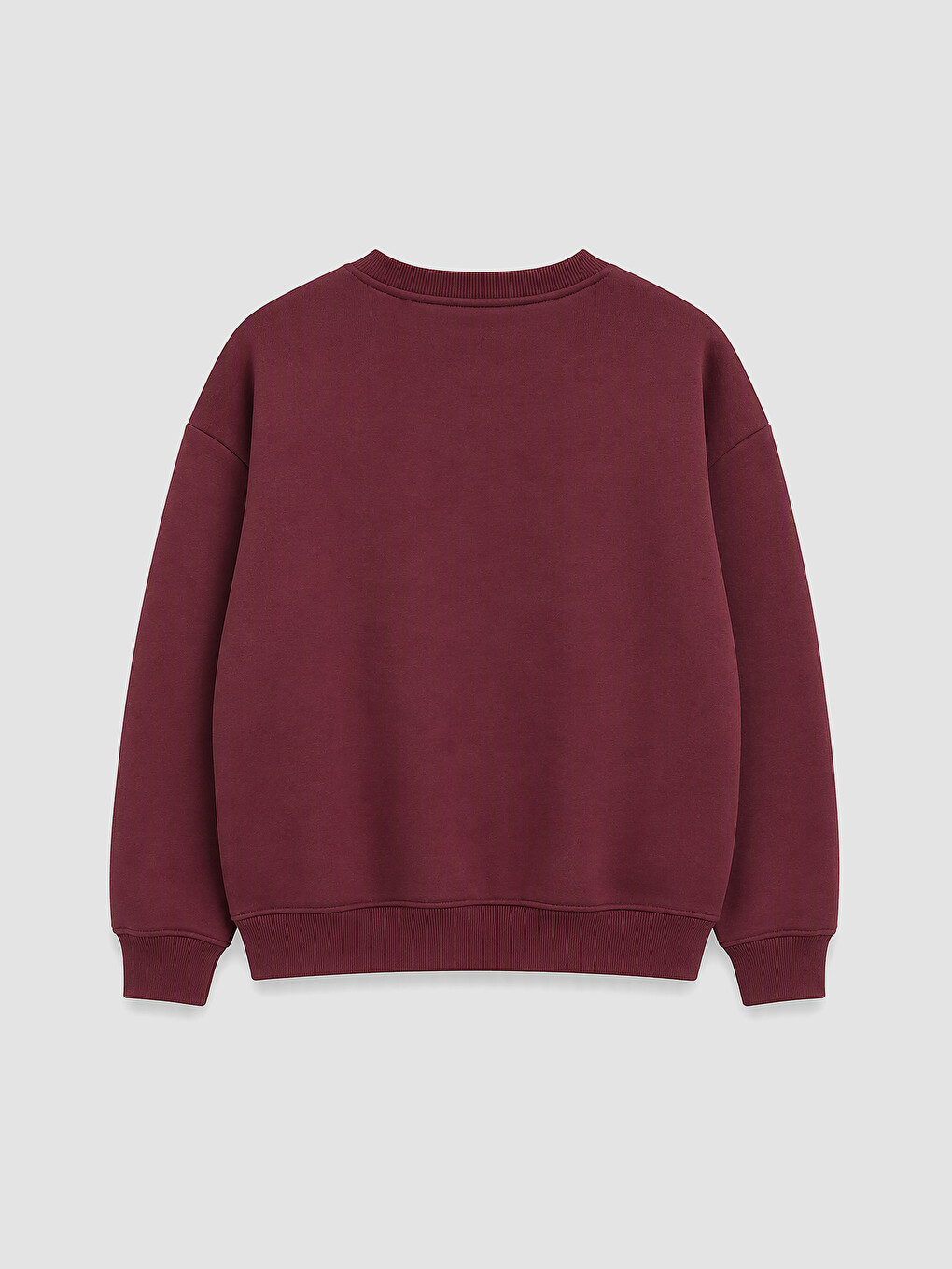 Embroidered Oversize Women's Thick Sweatshirt-1