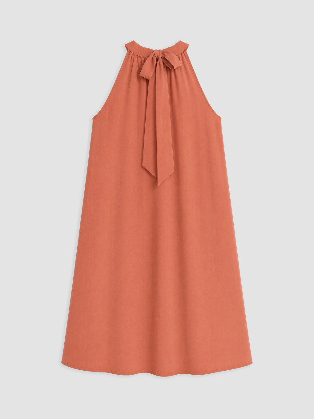 Woman Brown Dress