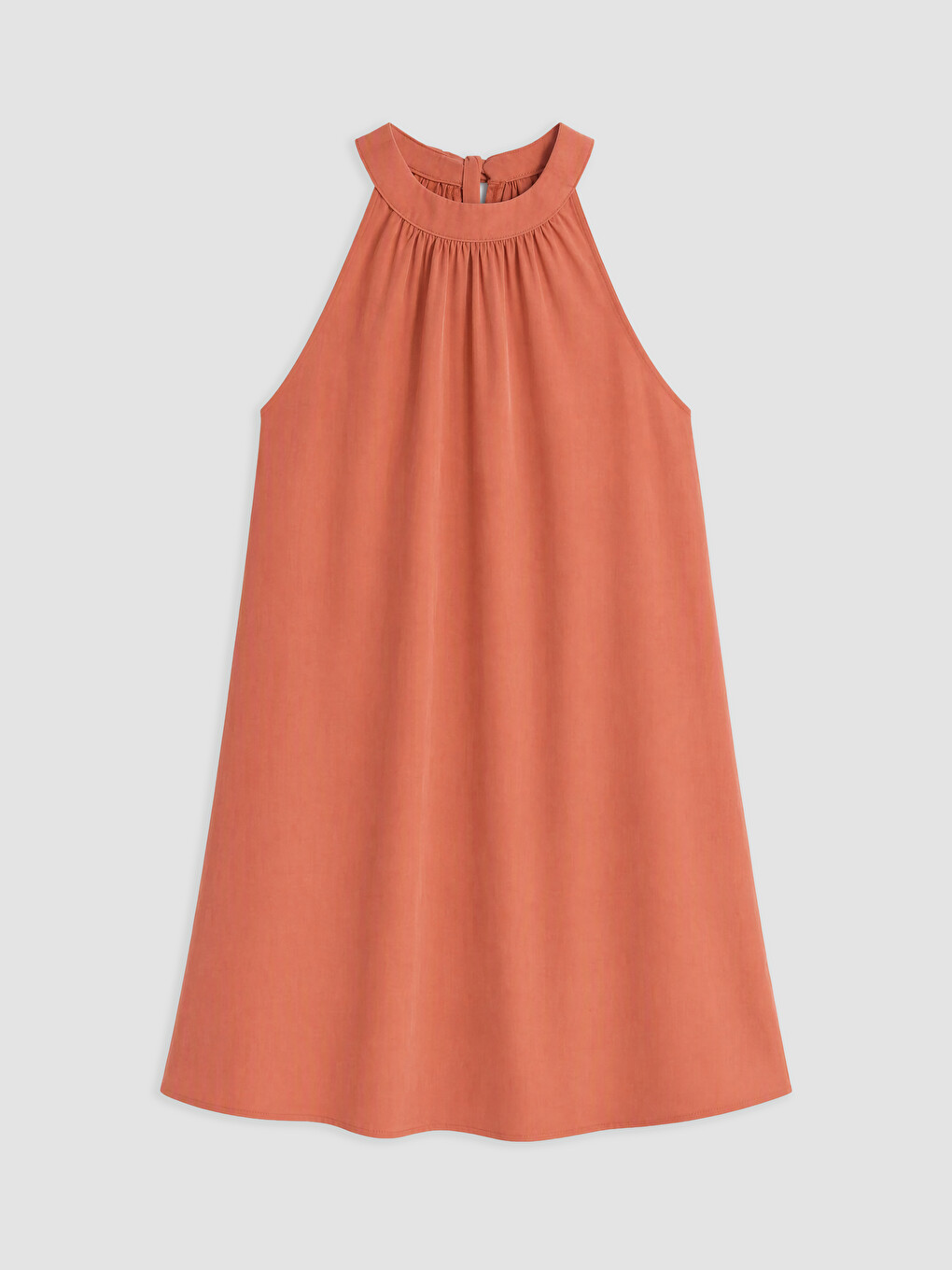 Woman Brown Dress-1