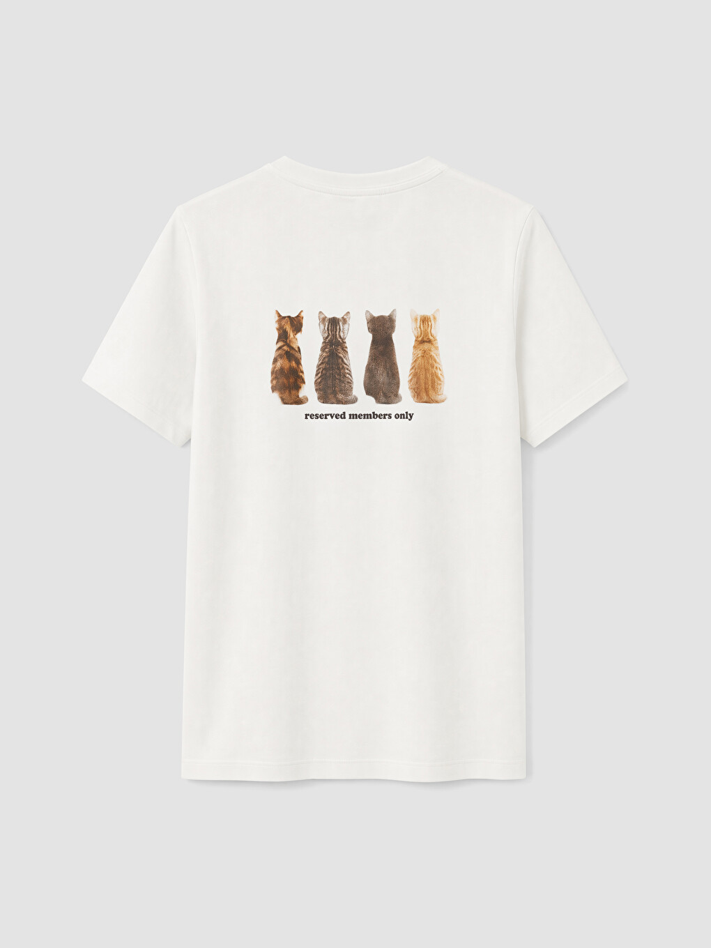 Beyaz Kedi Baskılı %100 Pamuklu Kadın Tişört-2