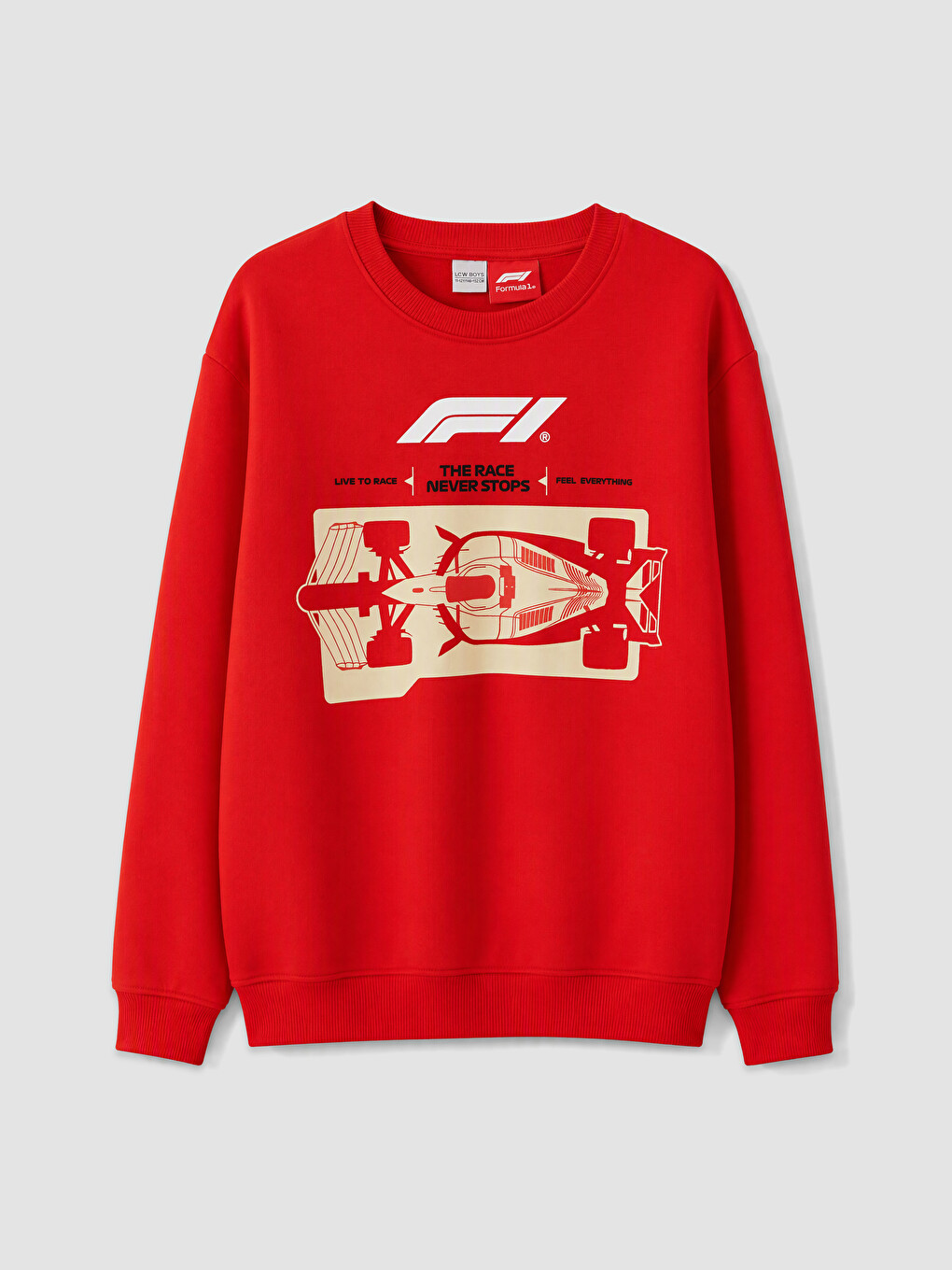 Formula 1 Printed Boys' Thick Sweatshirt