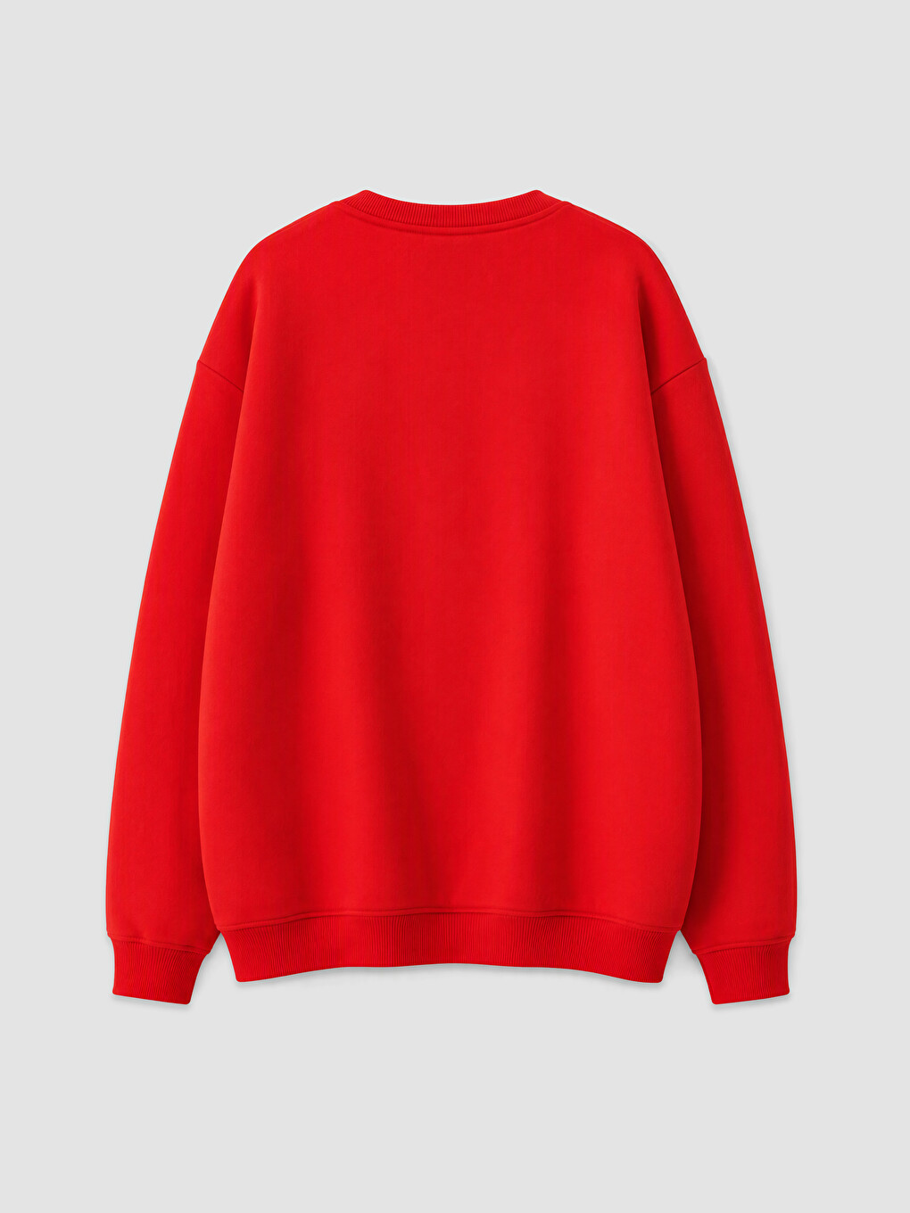 Formula 1 Printed Boys' Thick Sweatshirt-1