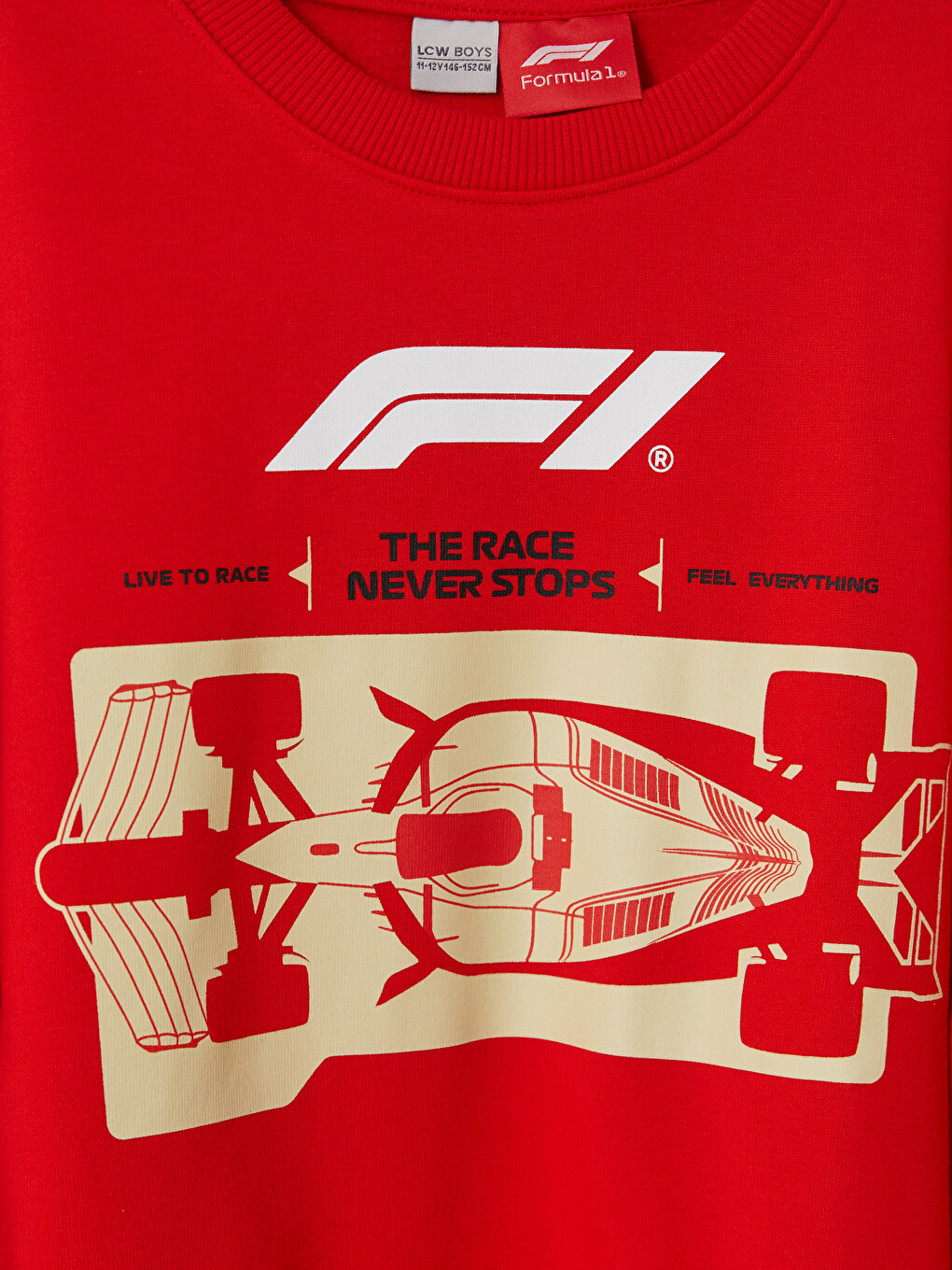 Formula 1 Printed Boys' Thick Sweatshirt-2