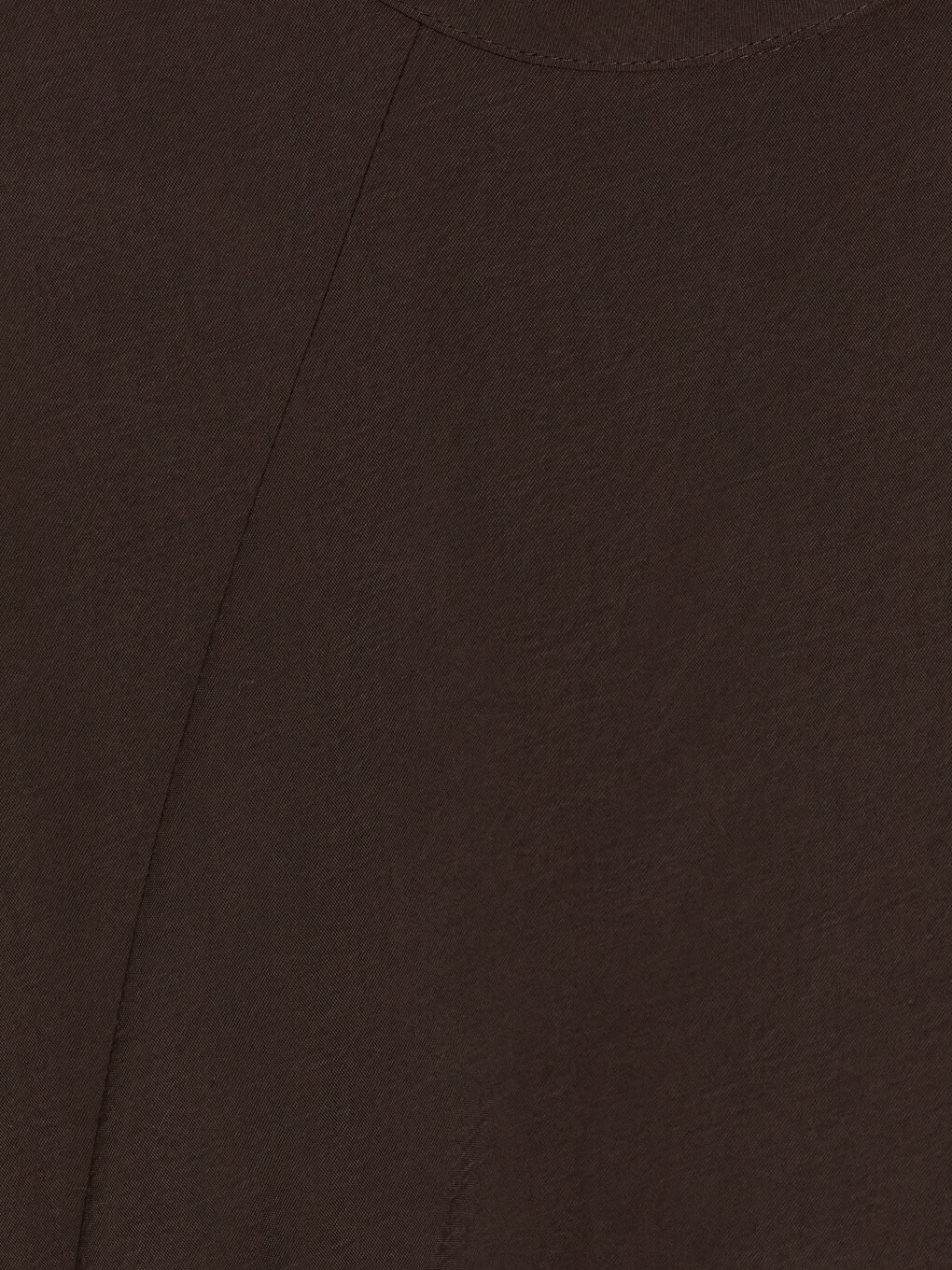 Woman Brown Dress-1