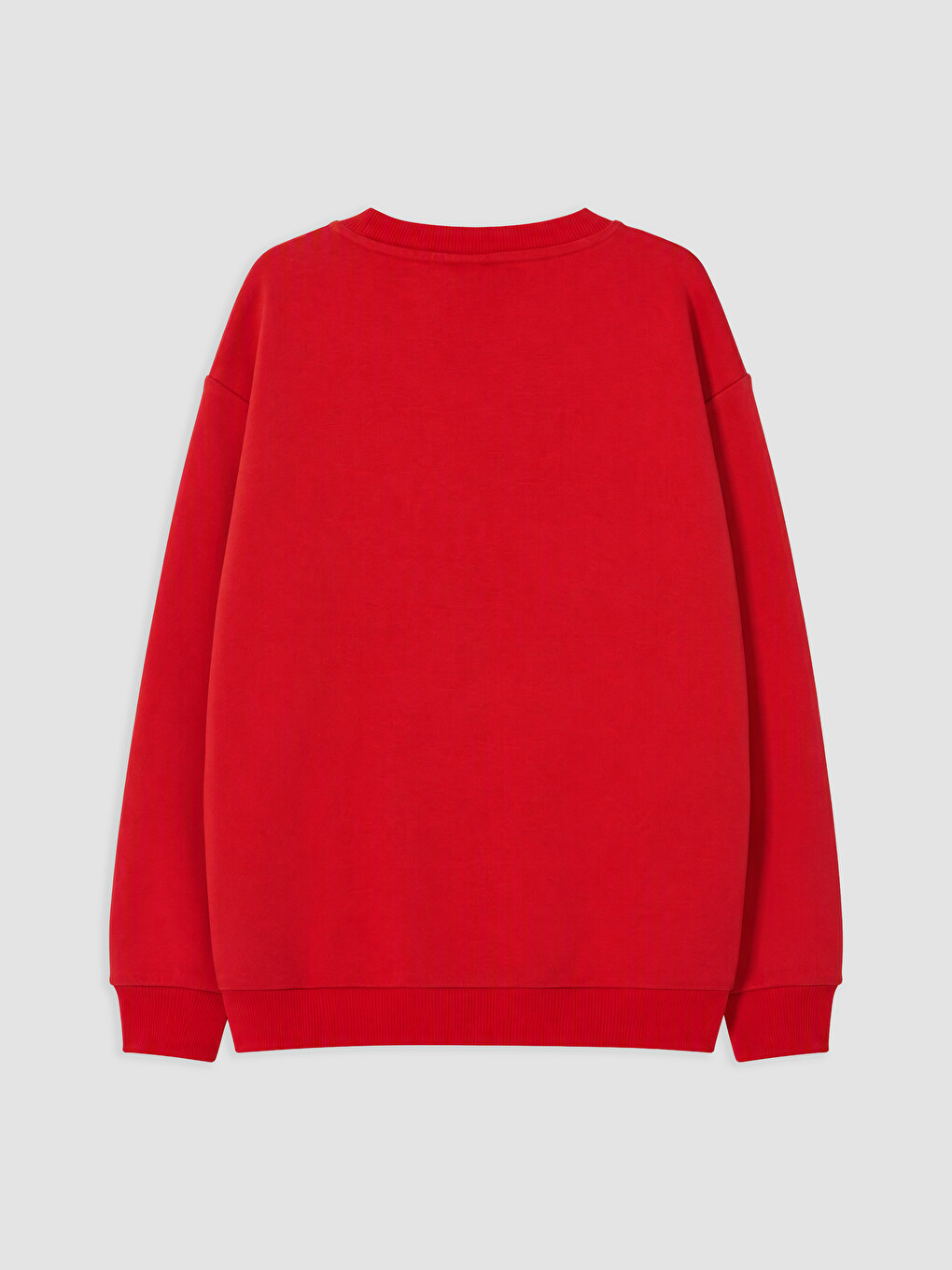 Printed Boys' Thick Sweatshirt-1