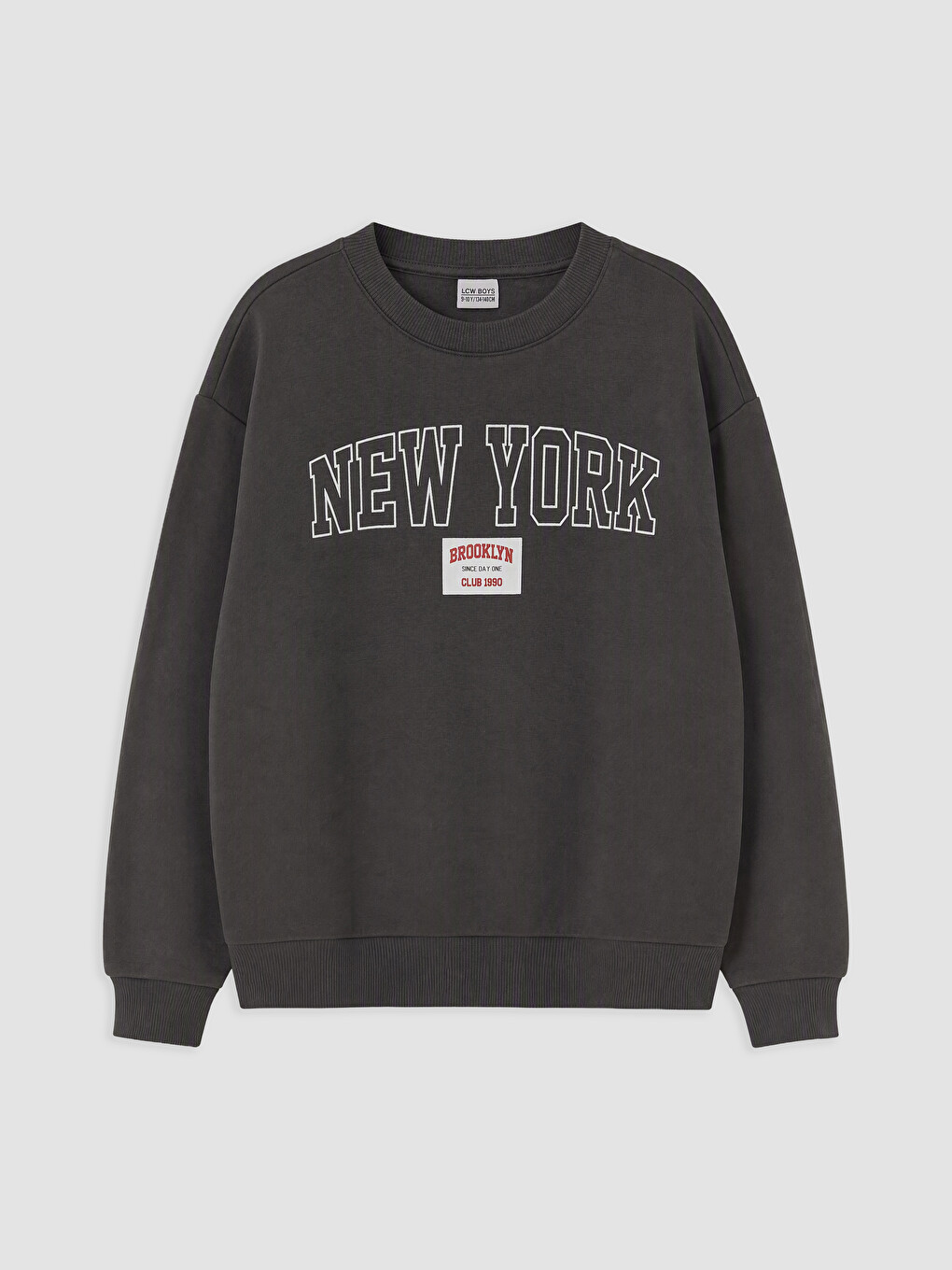 Printed Boys' Thick Sweatshirt