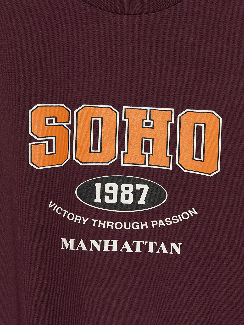 Manhattan Printed Boys' T-shirt-1