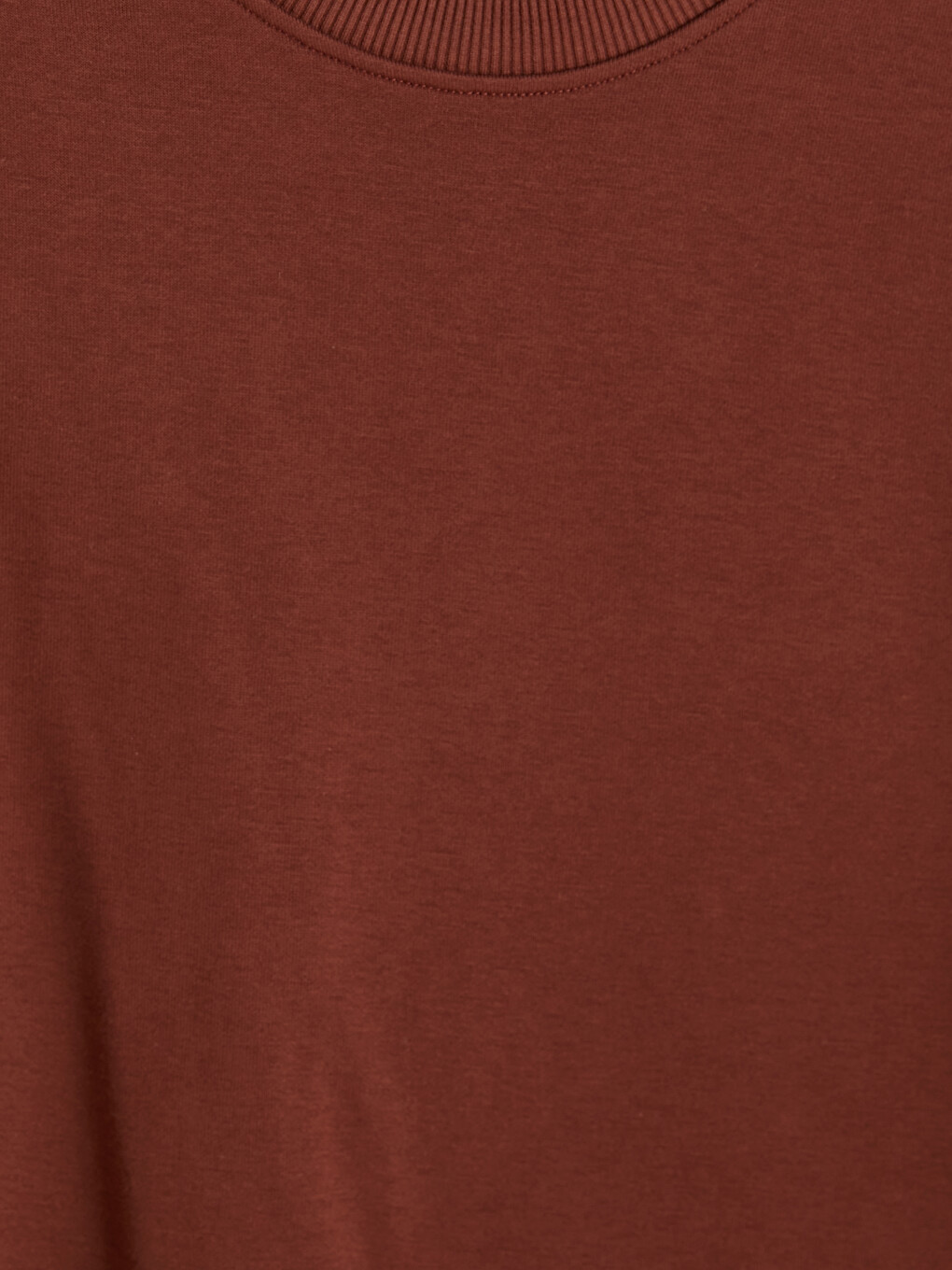 Kahverengi Bisiklet Yaka Erkek Sweatshirt-6
