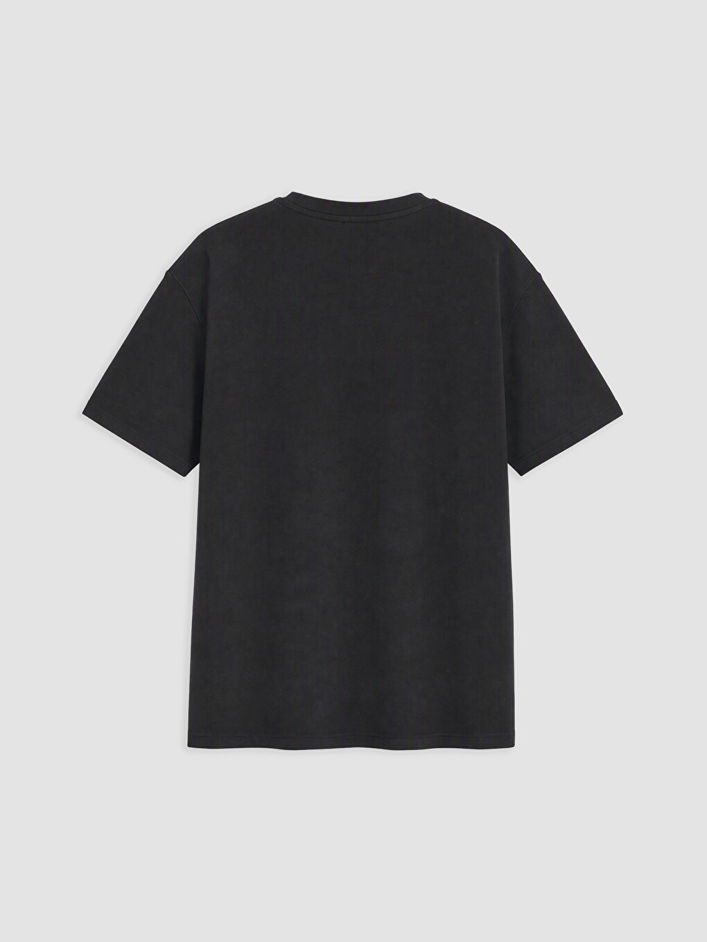 2 Pack Regular Fit Thick Fabric T-shirt /03-8