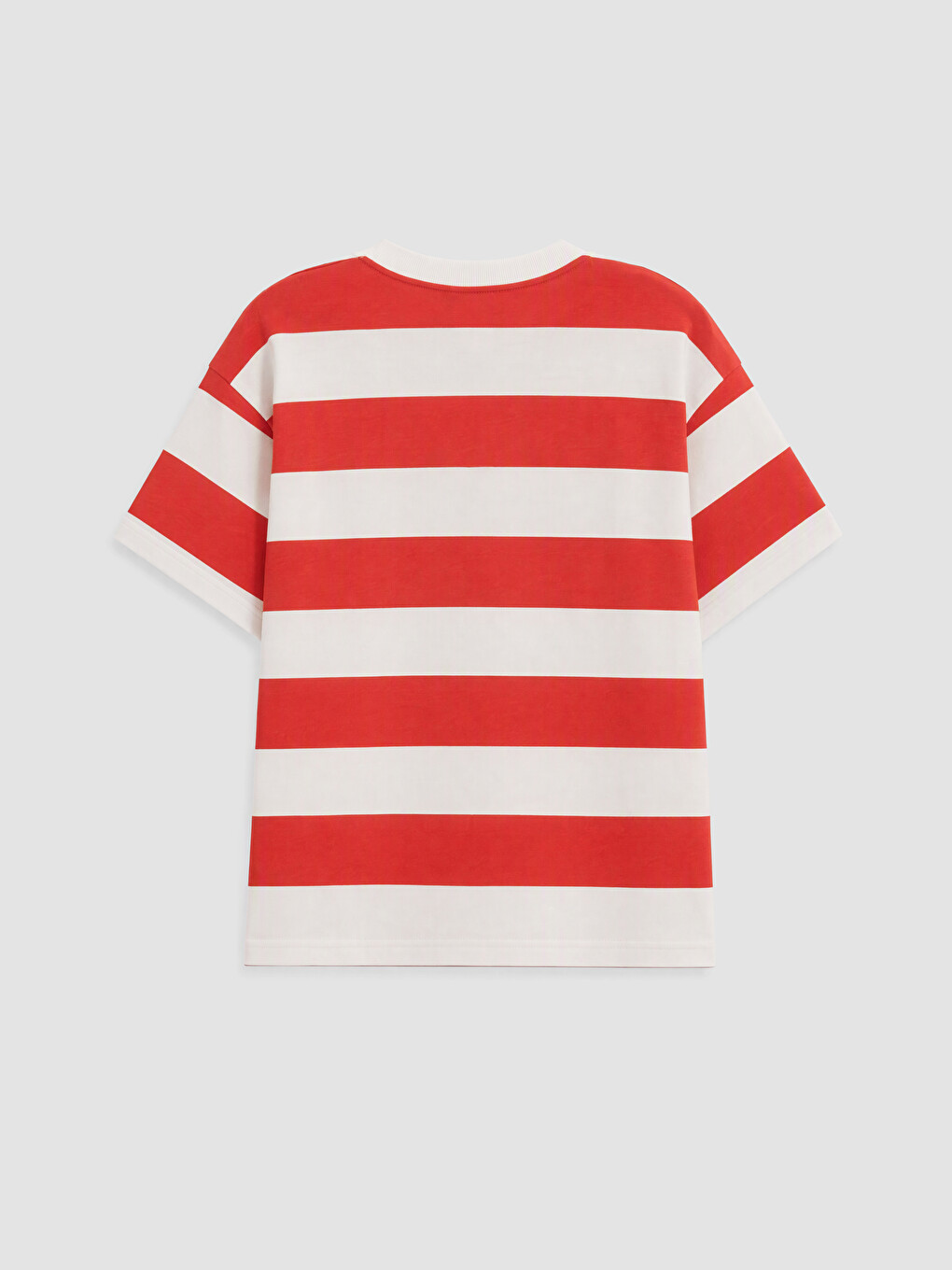 Crew Neck Sonic Printed Boys' T-shirt-2