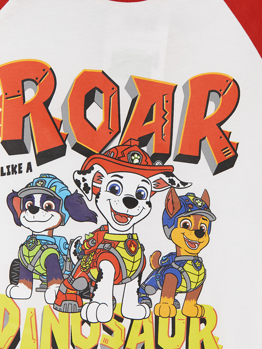 Crew Neck Paw Patrol Printed Boys' T-shirt-1