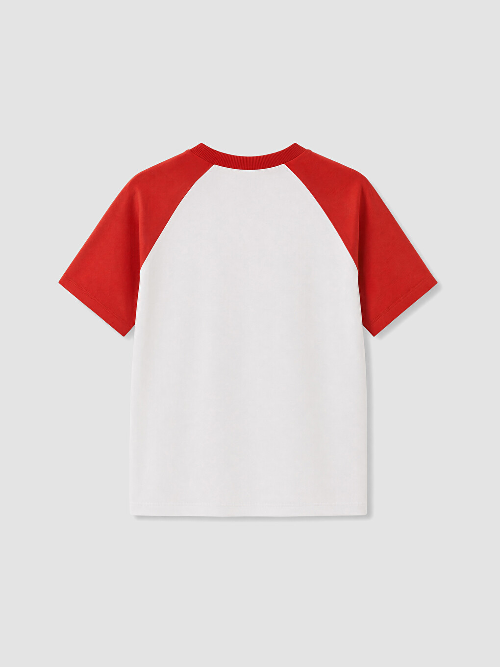 Crew Neck Paw Patrol Printed Boys' T-shirt-2