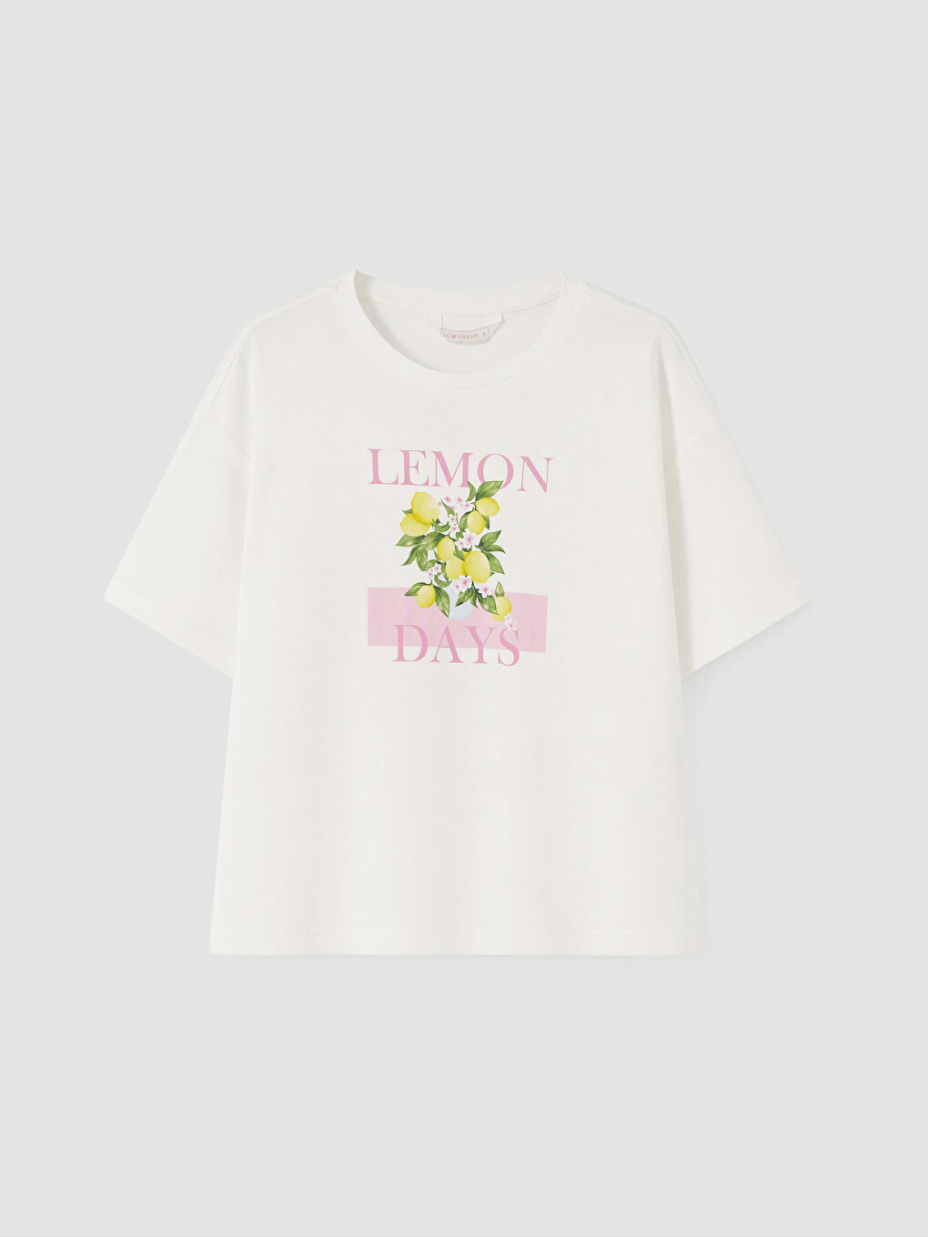 Pembe Limon Baskılı Kadın Şortlu Pijama Takımı-5