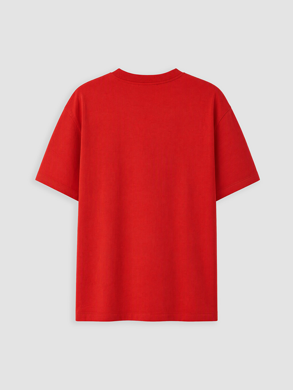 T-shirt Pambuku 100% Me Jakë Të Rrumbullakët Të Qëndisur Për Gra-2