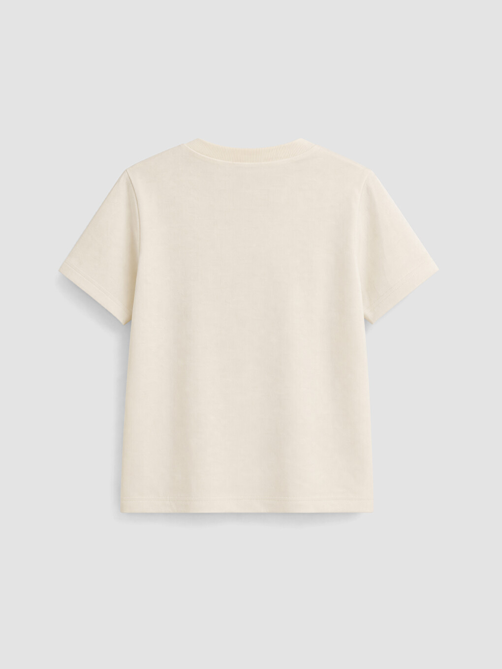 Crew Neck Printed Boys' T-shirt-2