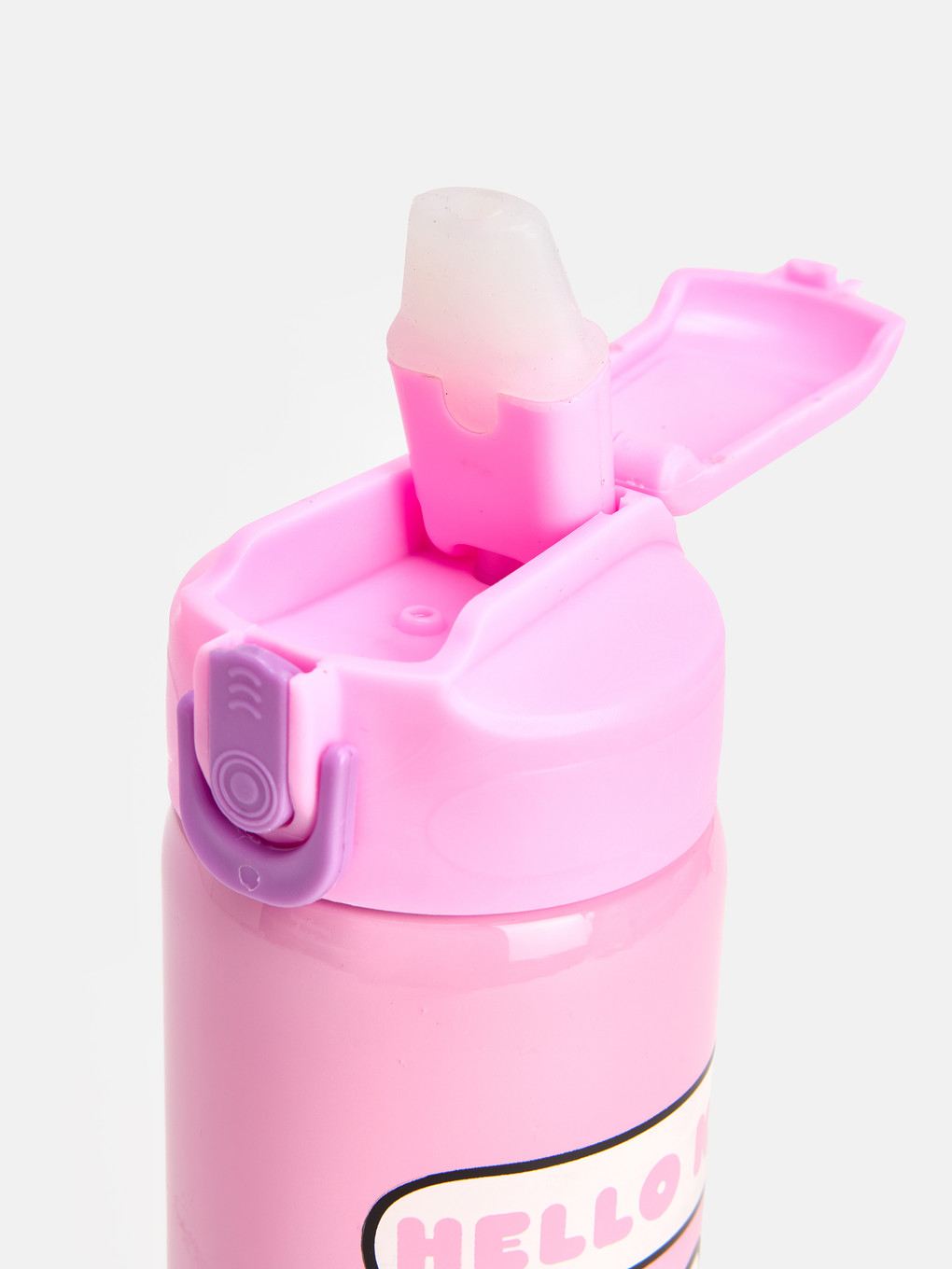 Karışık Hello Kitty Baskılı Metal Suluk 600 Ml-2