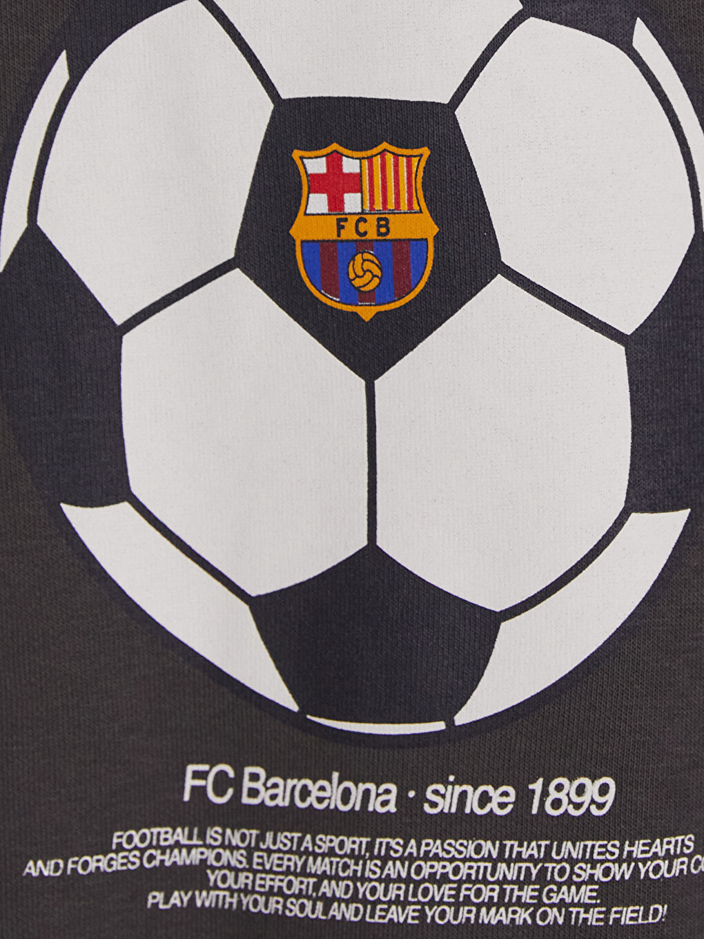 Hanorac Gros Imprimat Fc Barcelona Pentru Băieți-4