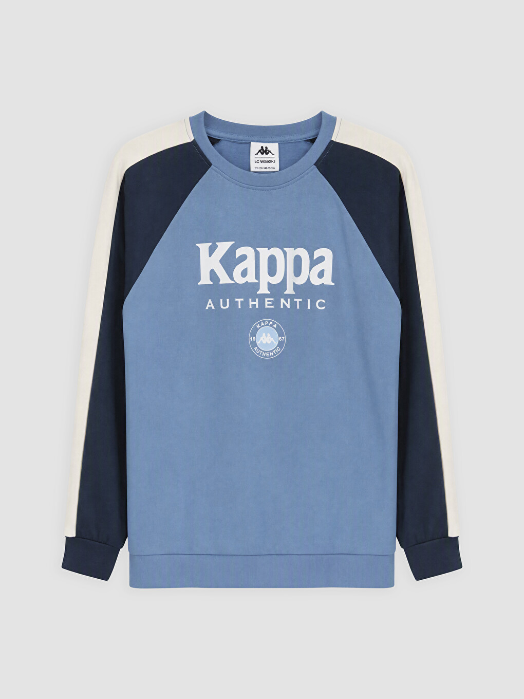 Mavi Baskılı Erkek Çocuk Soft Touch Sweatshirt