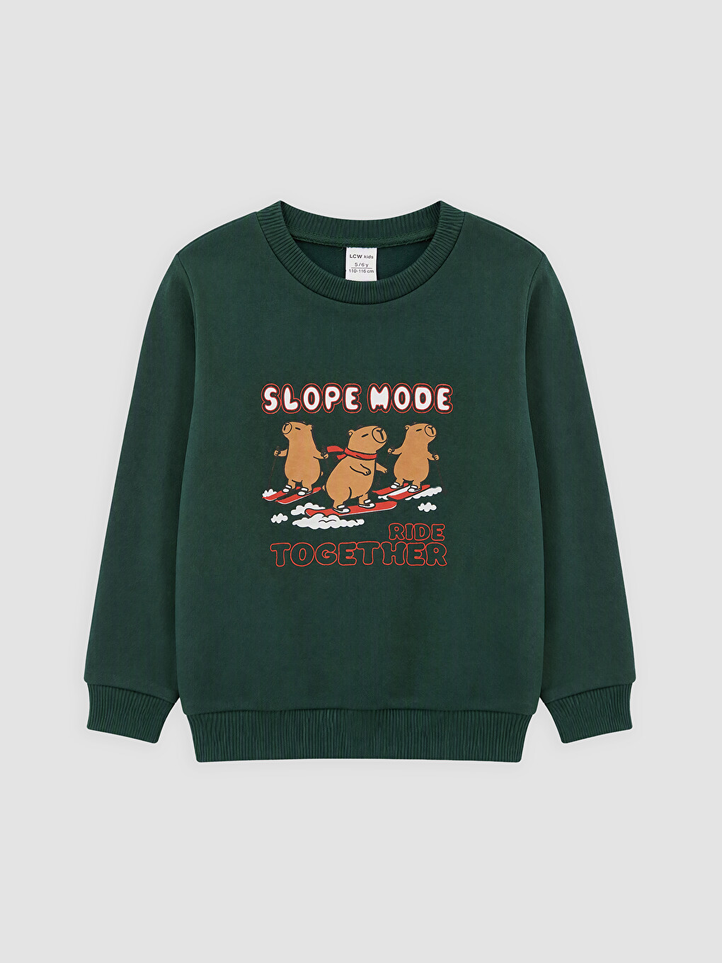 Boy Green Sweatshirt